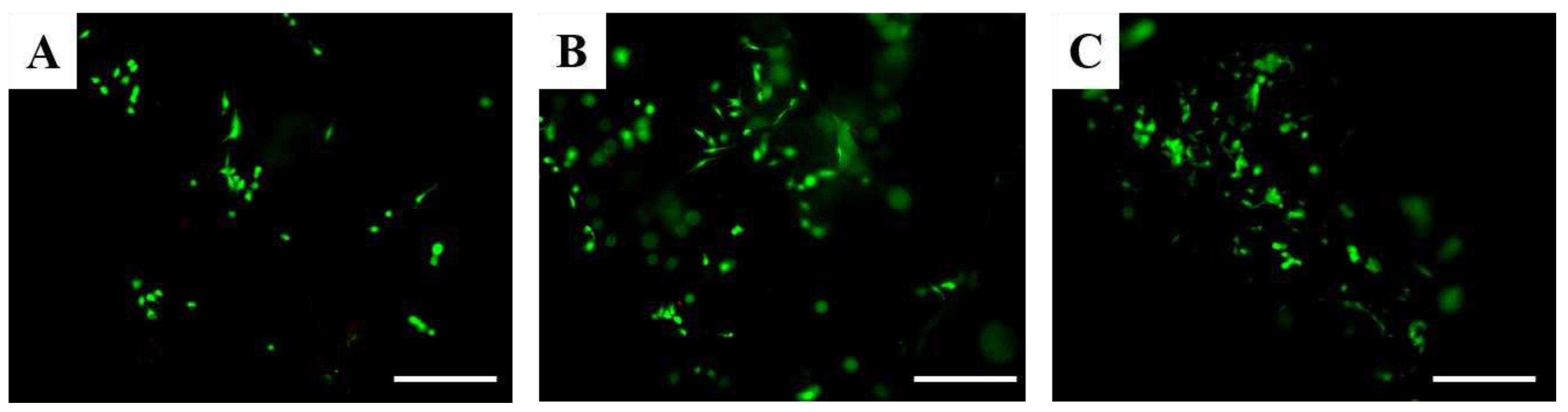 Preprints 89128 g010