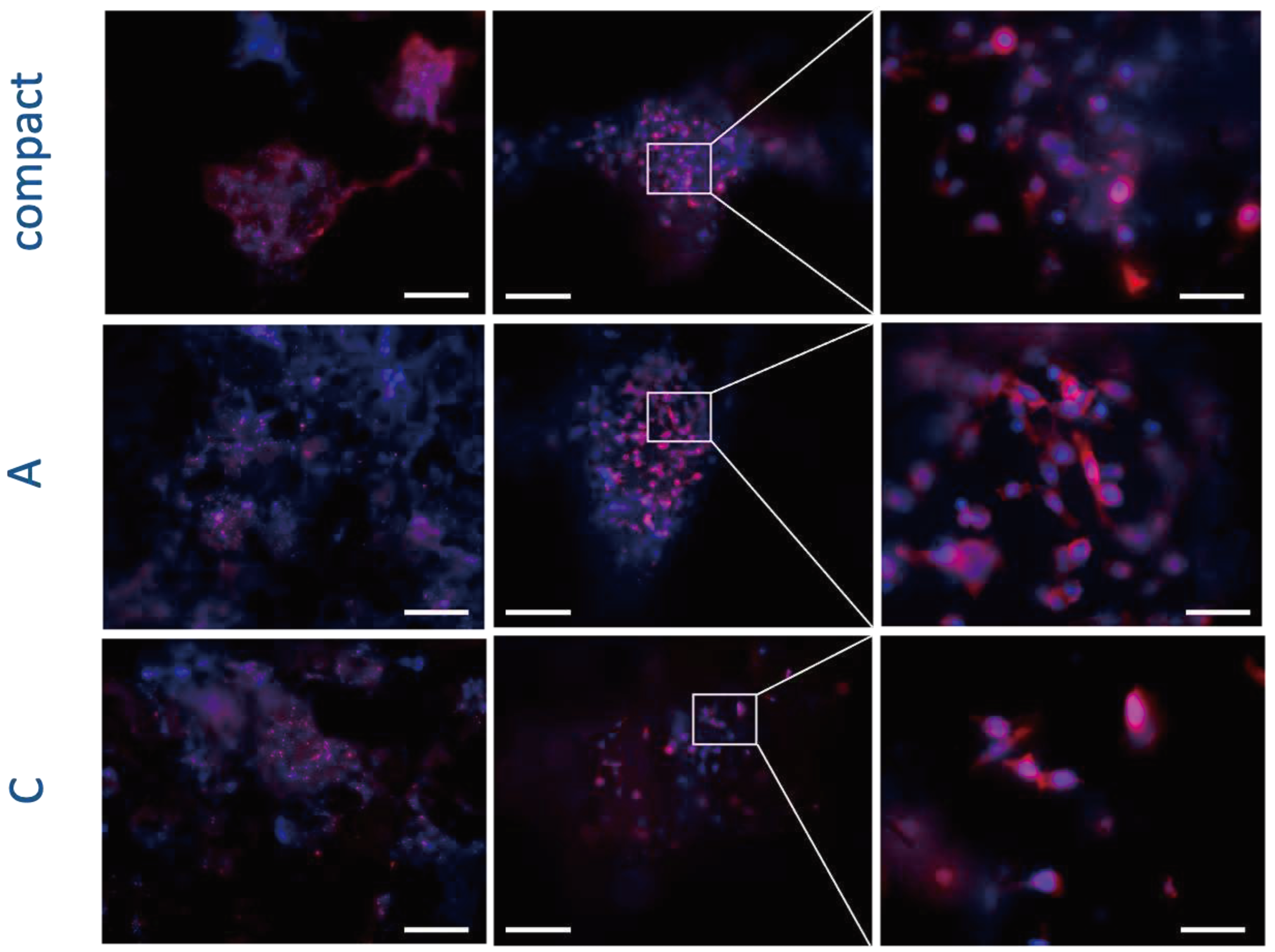 Preprints 89128 g012