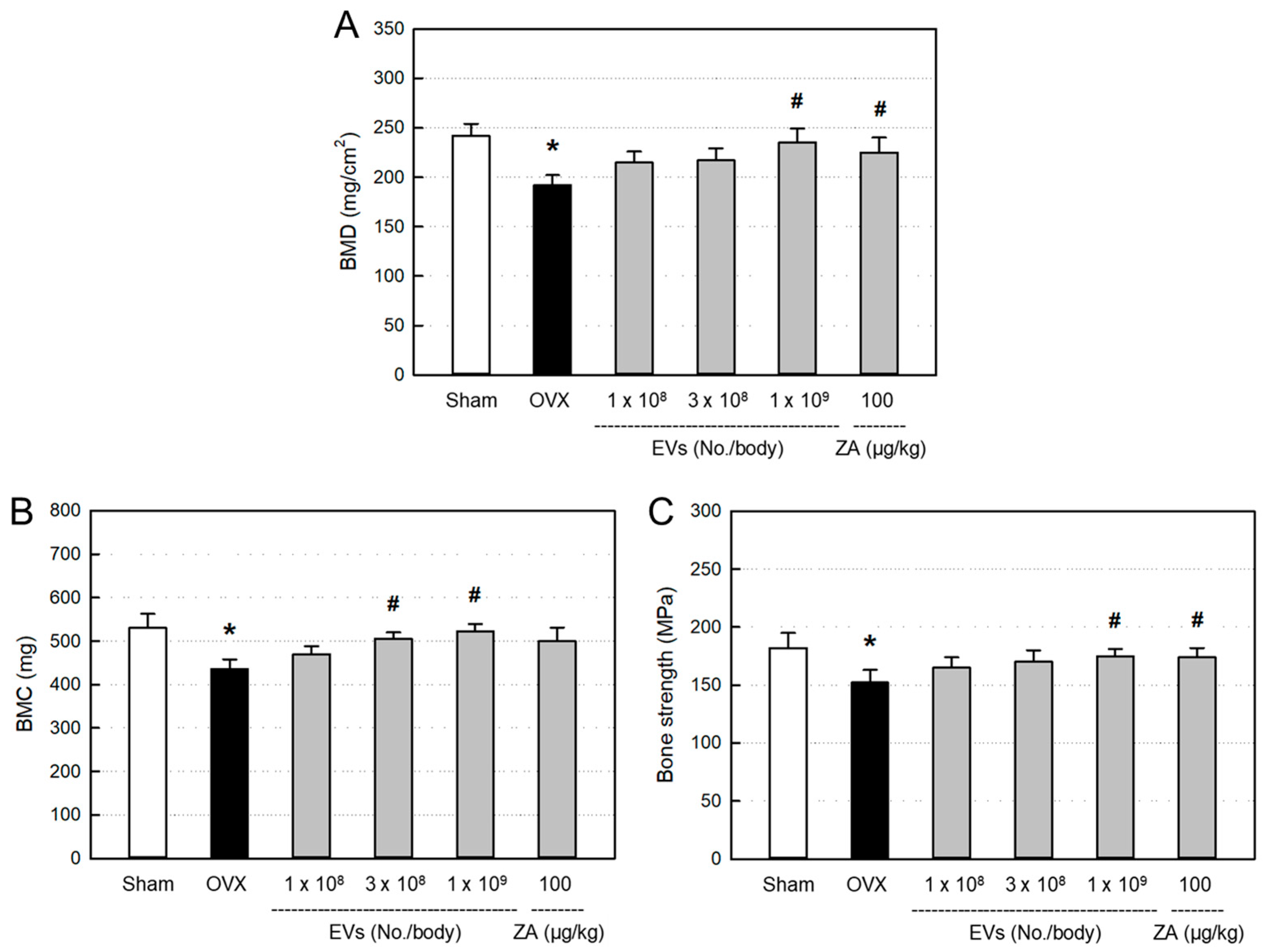 Preprints 167838 g004