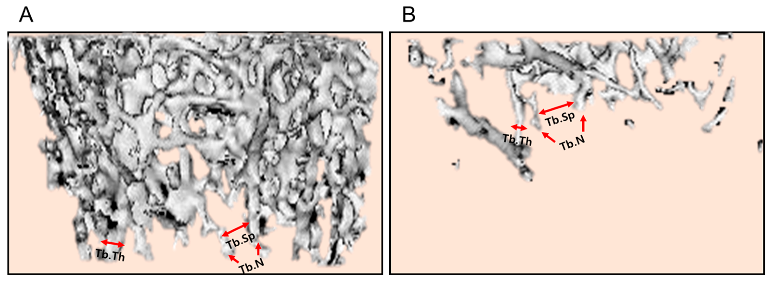 Preprints 167838 g006