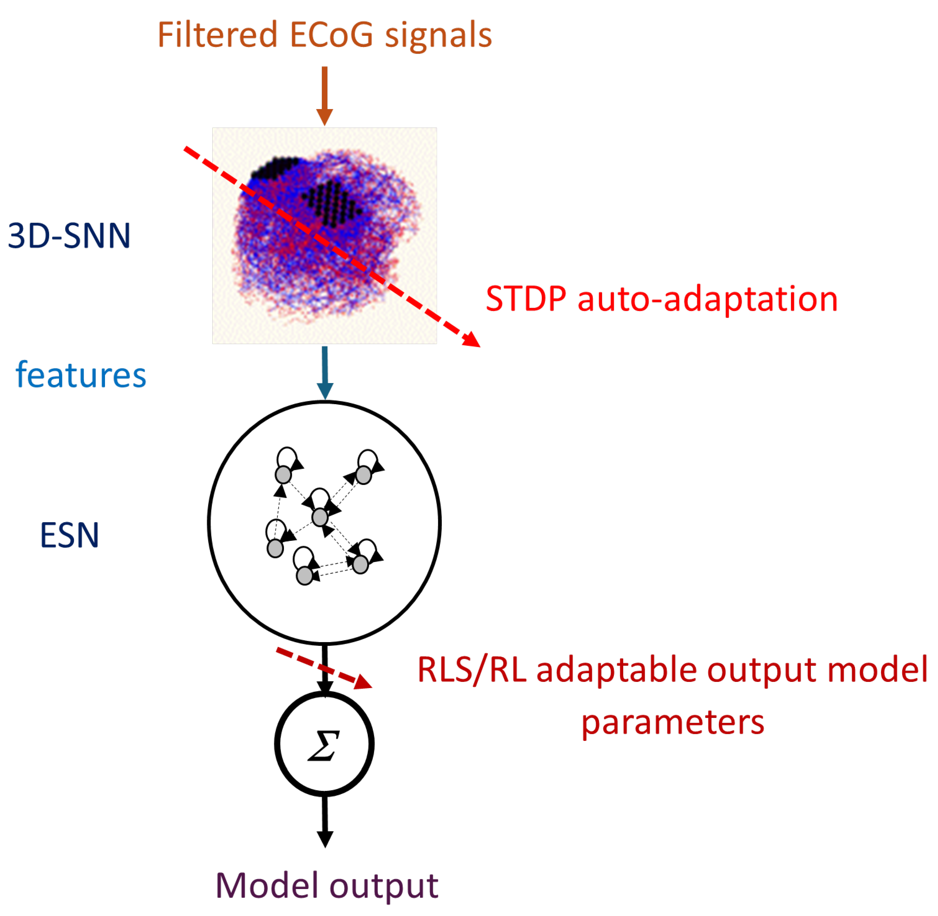 Preprints 148908 g001