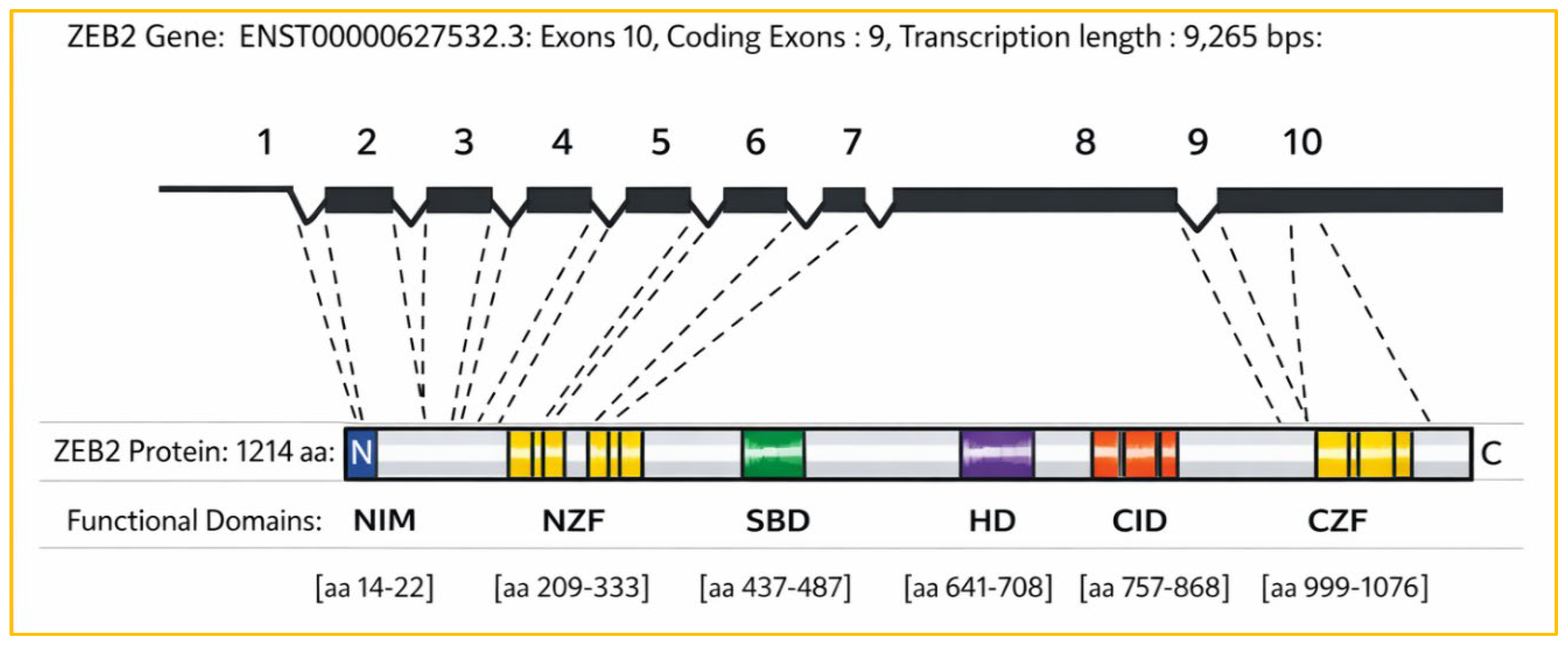 Preprints 222684 g002 Preprints 222684 g002