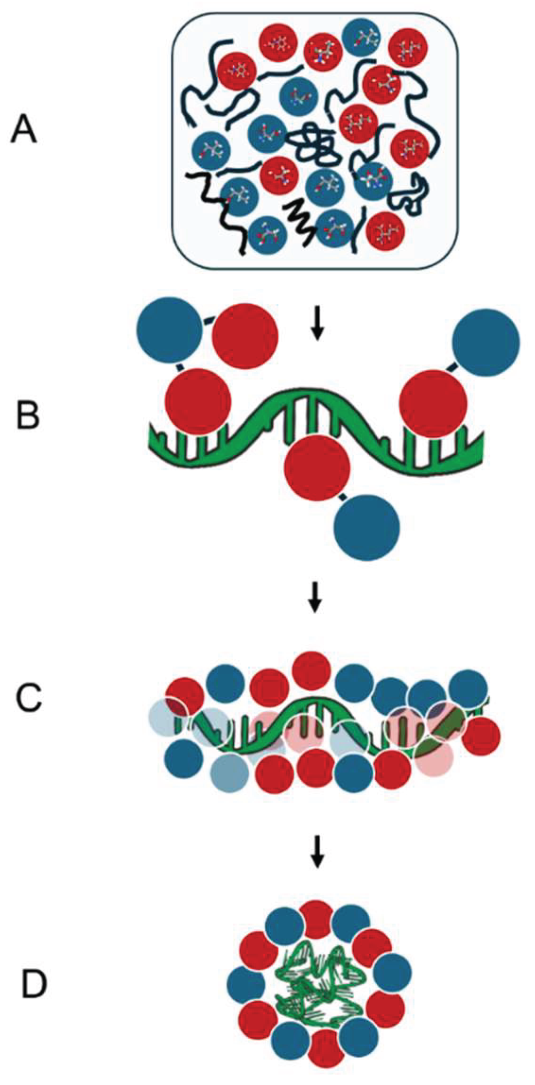 Preprints 200056 g001