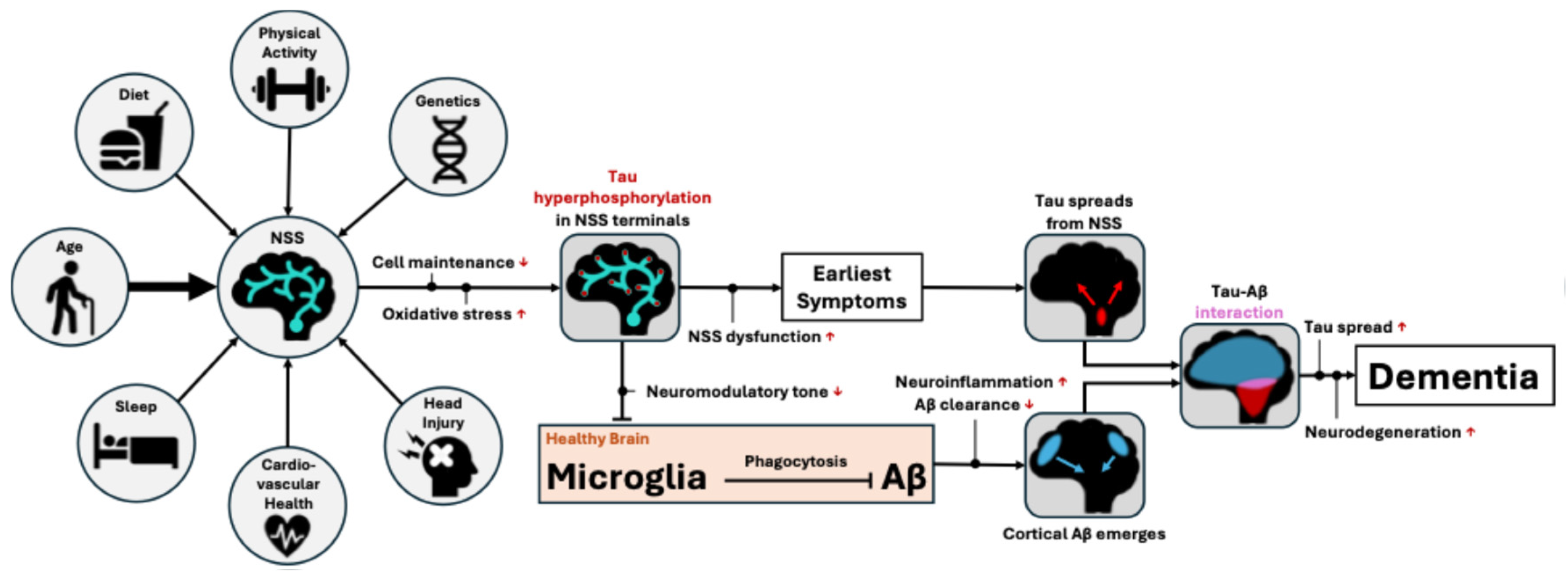 Preprints 187924 g001