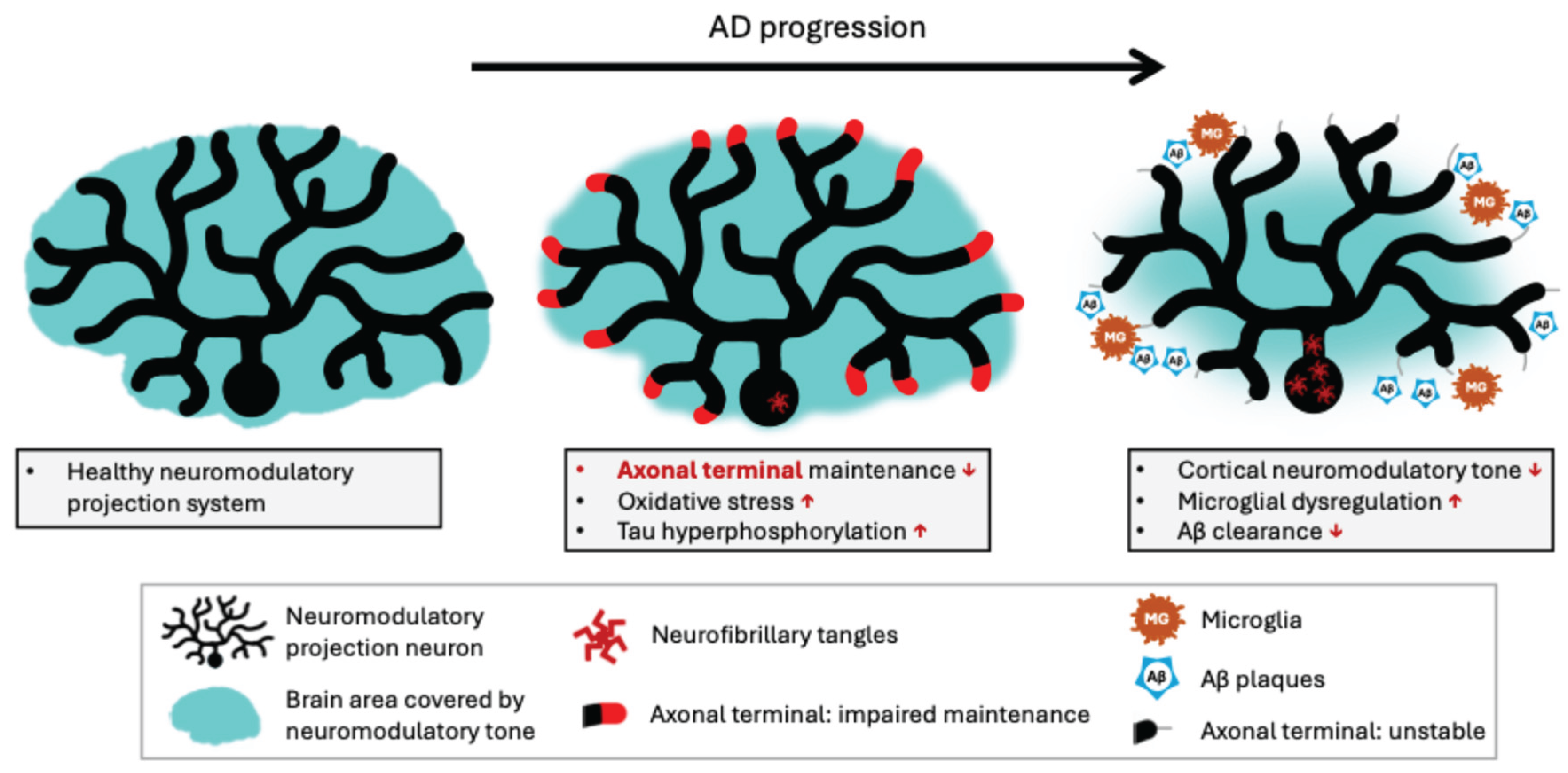 Preprints 187924 g002