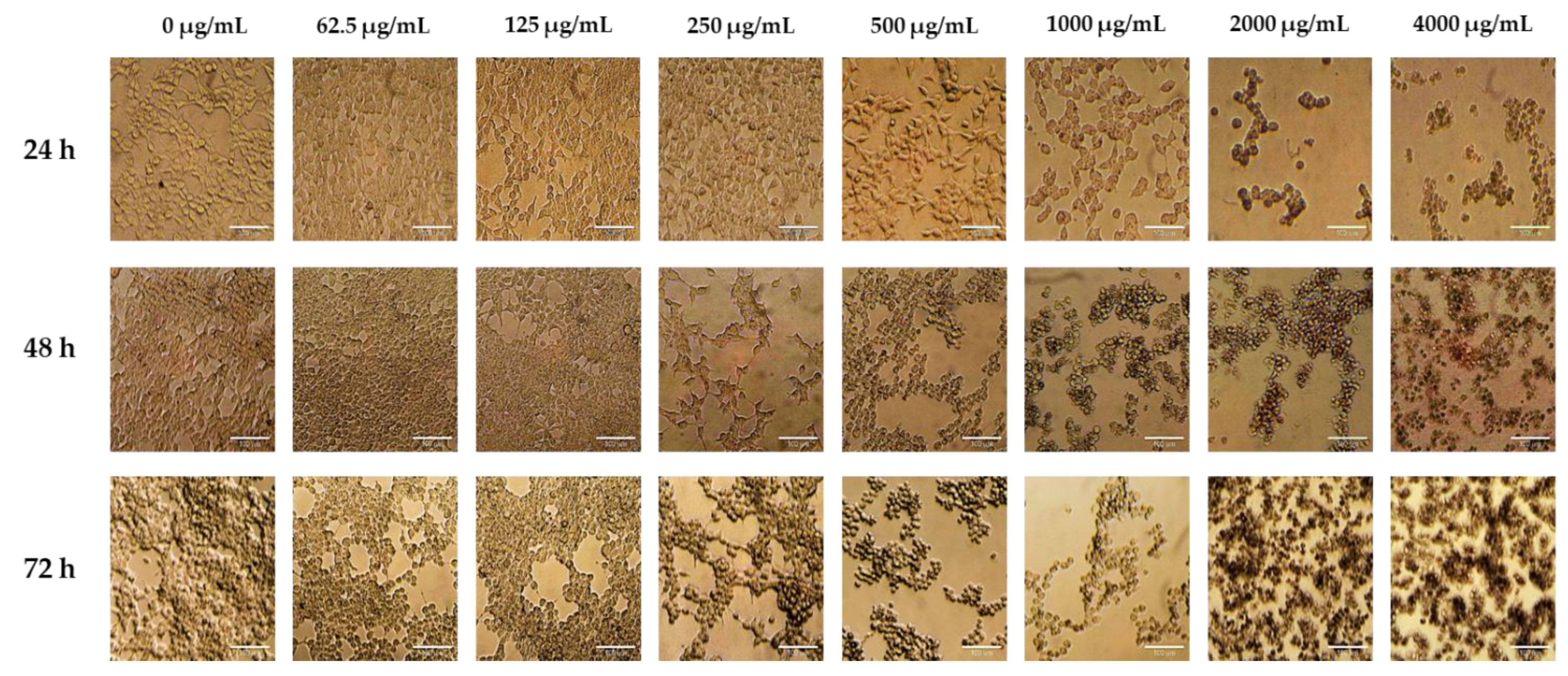 Preprints 164976 g002