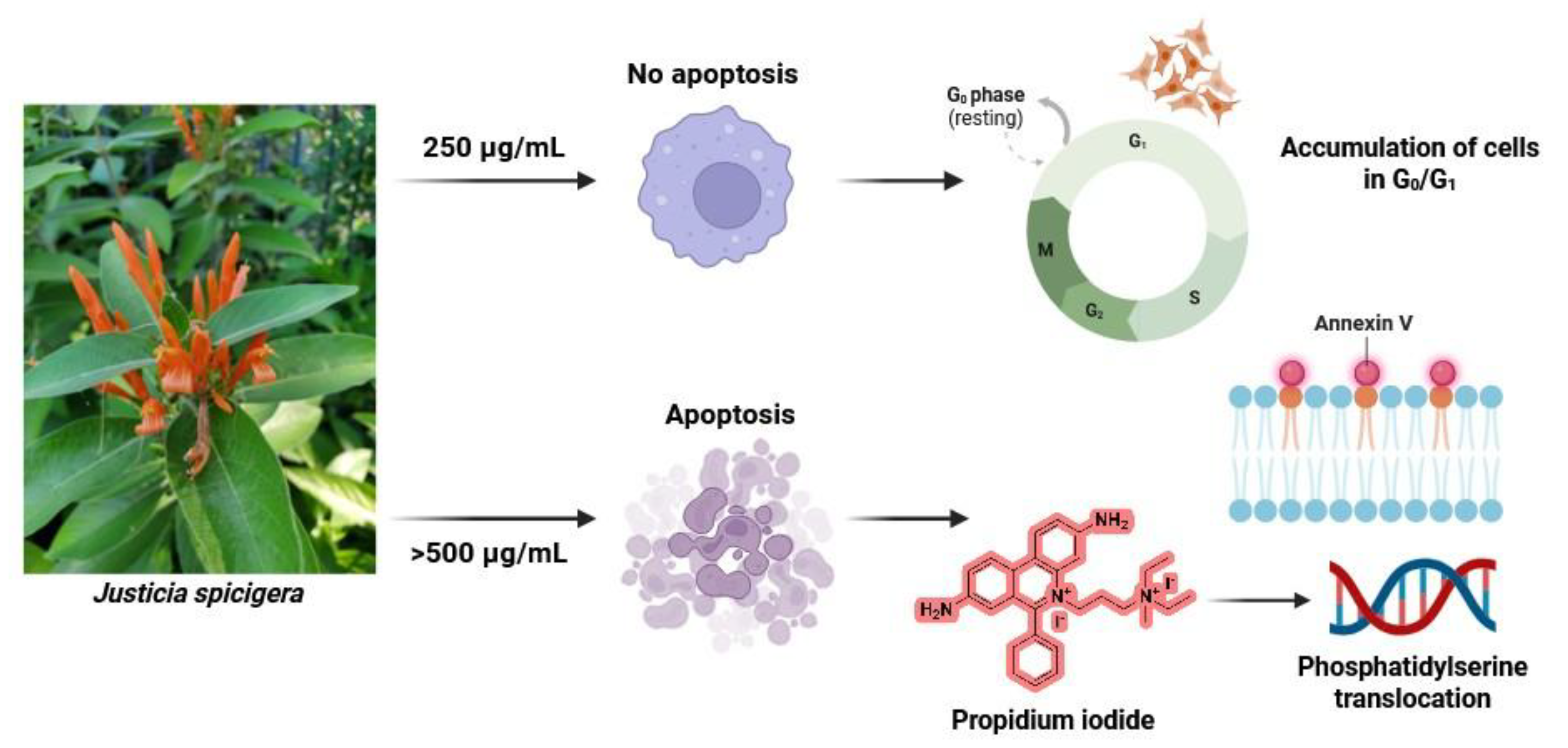 Preprints 164976 g008