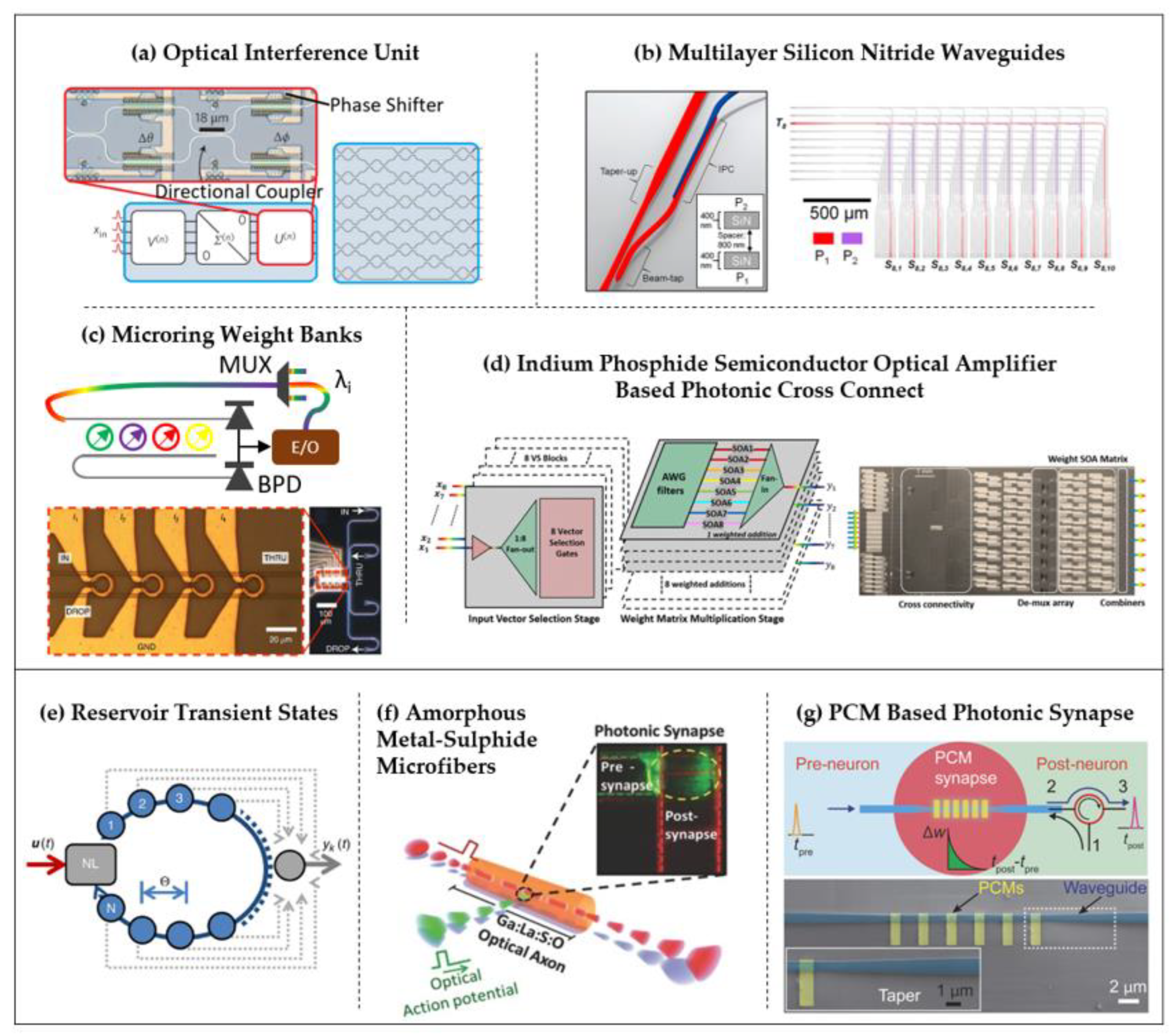 Preprints 121885 g002