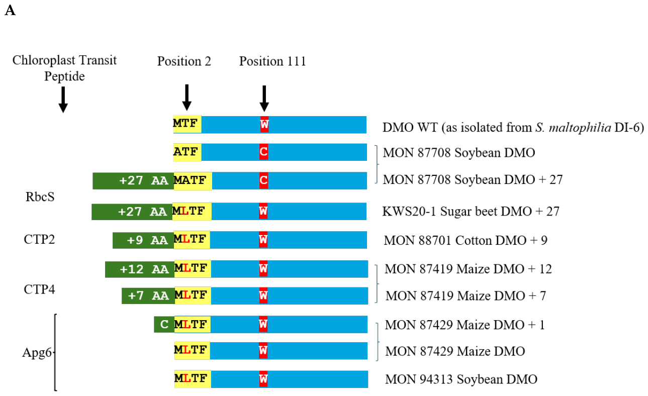Preprints 231411 g004a
