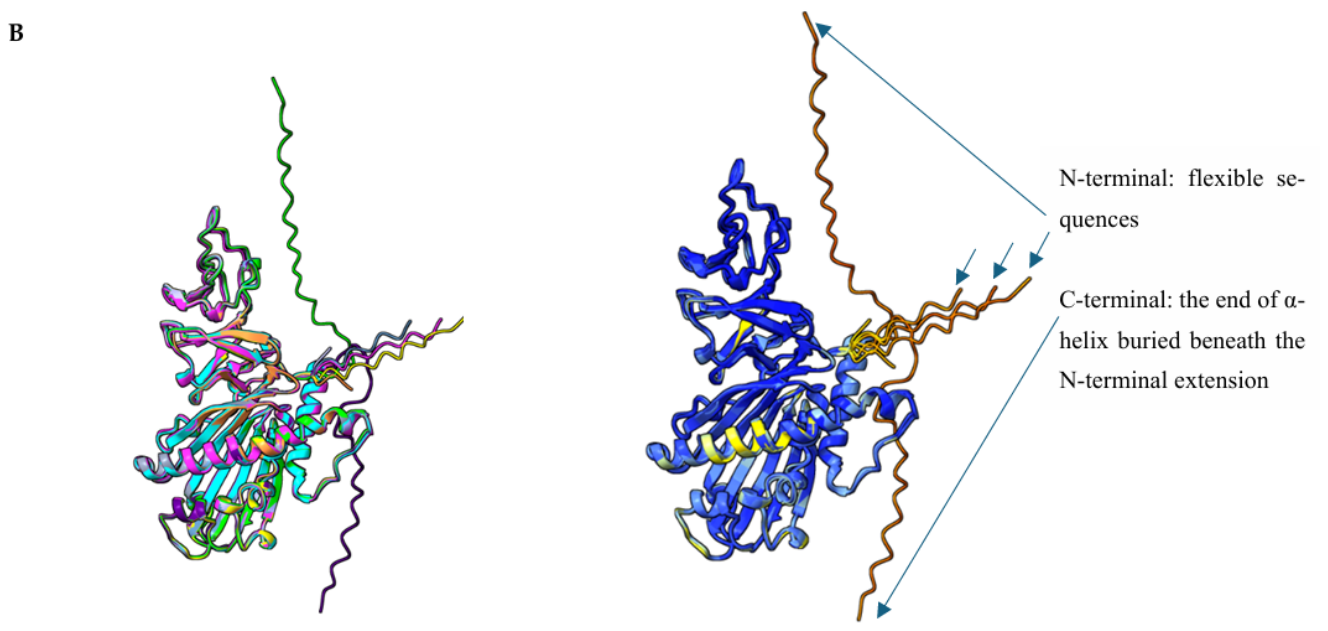 Preprints 231411 g004b