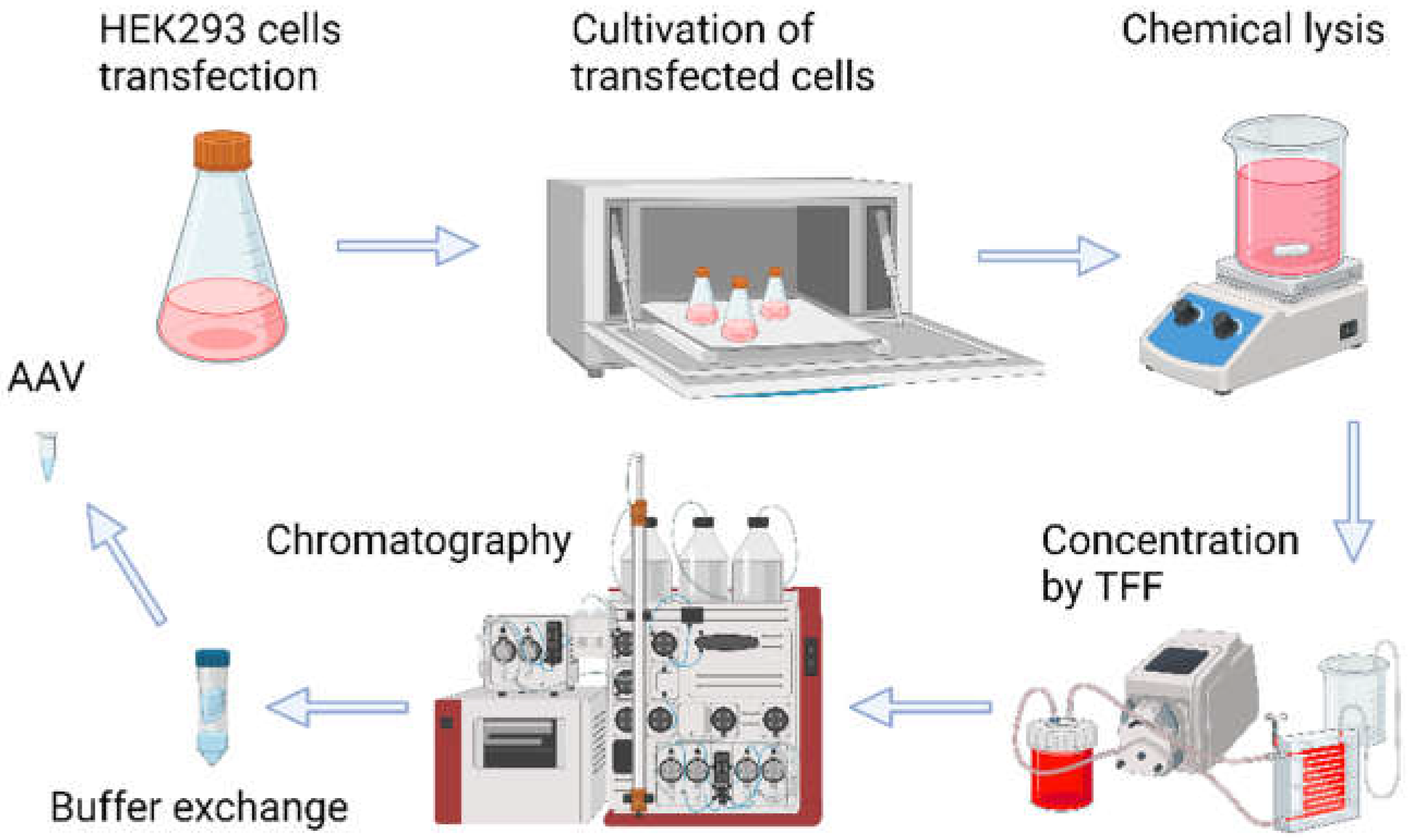 Preprints 114134 g001