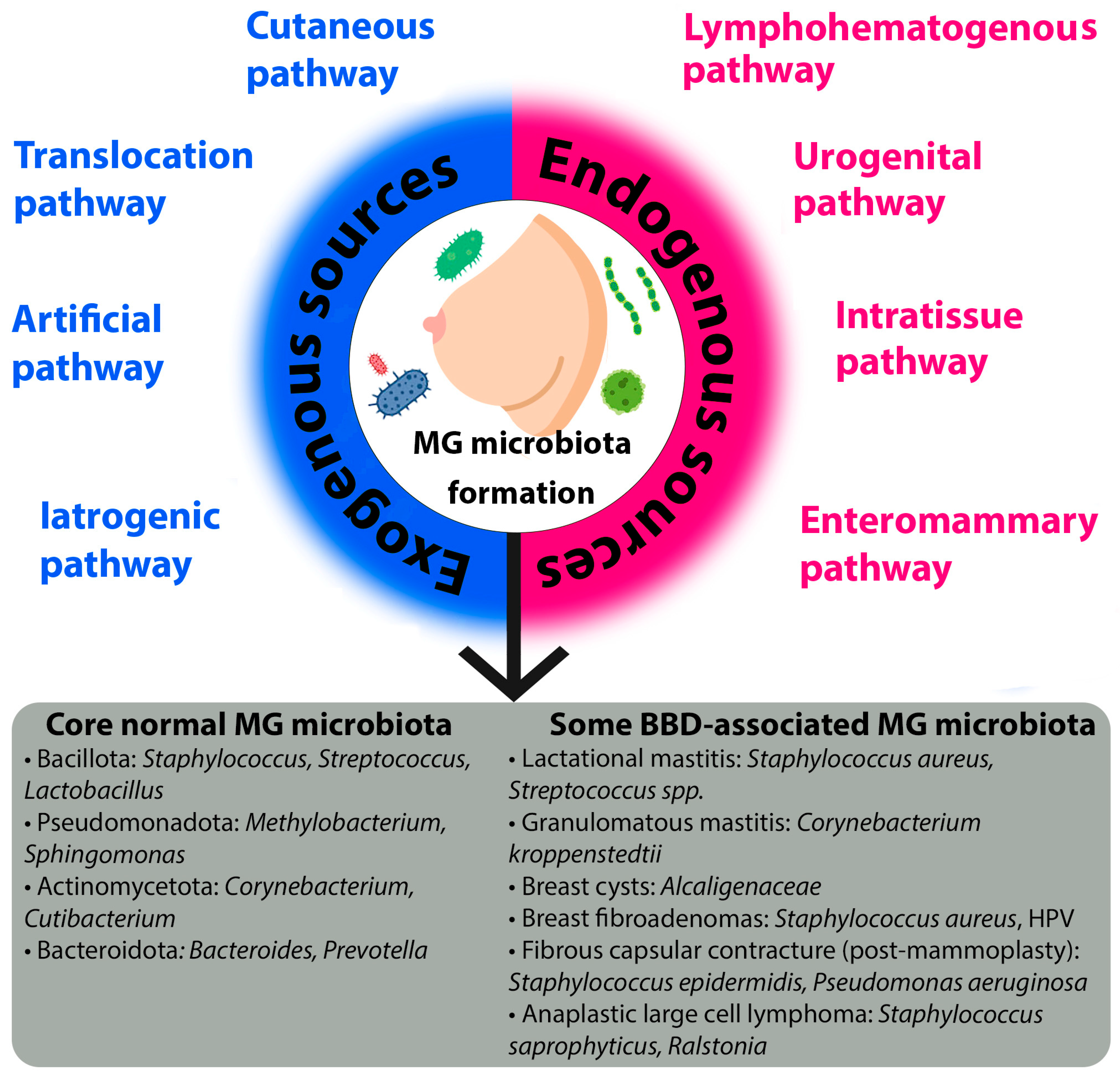 Preprints 177803 g001