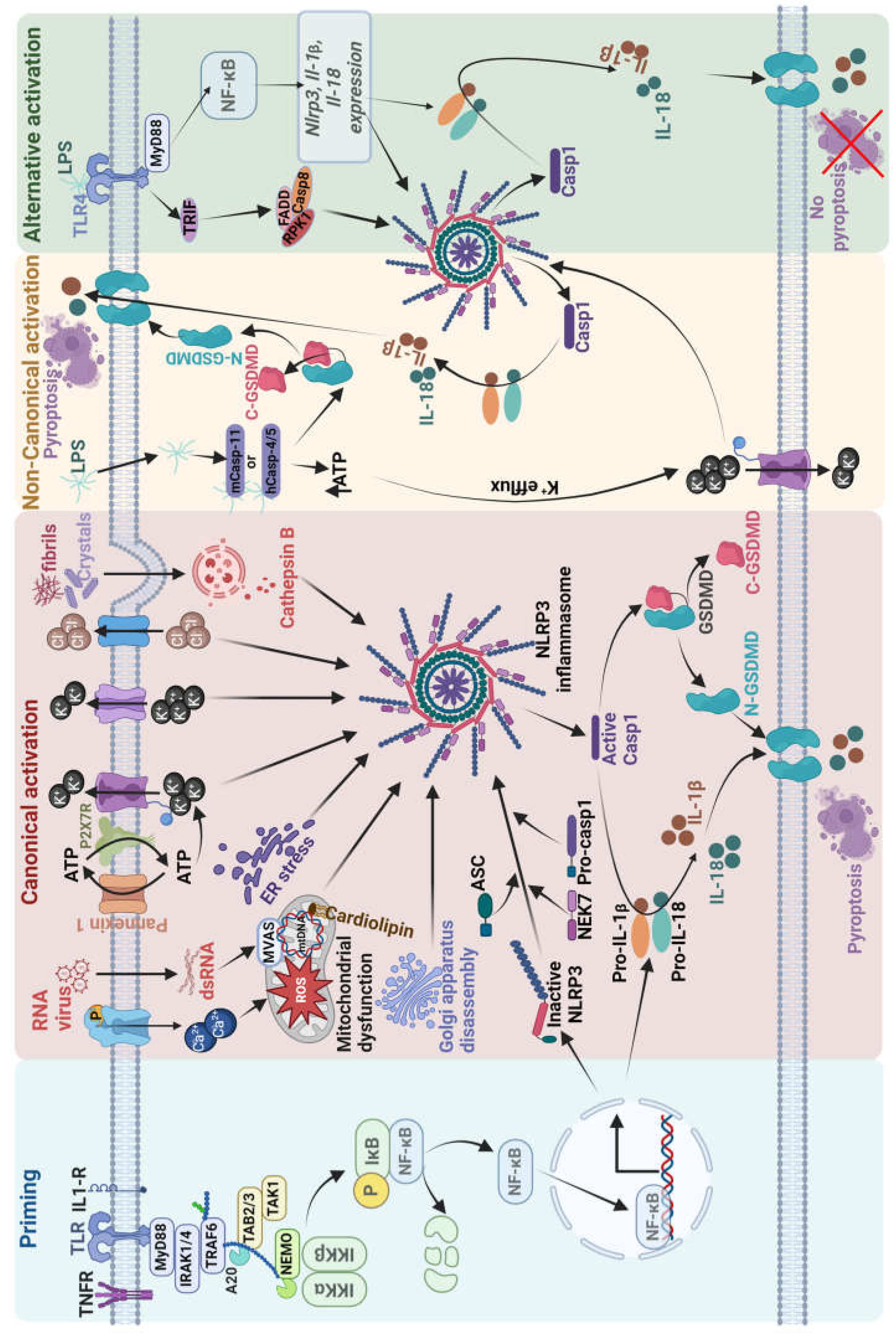 Preprints 105924 g001