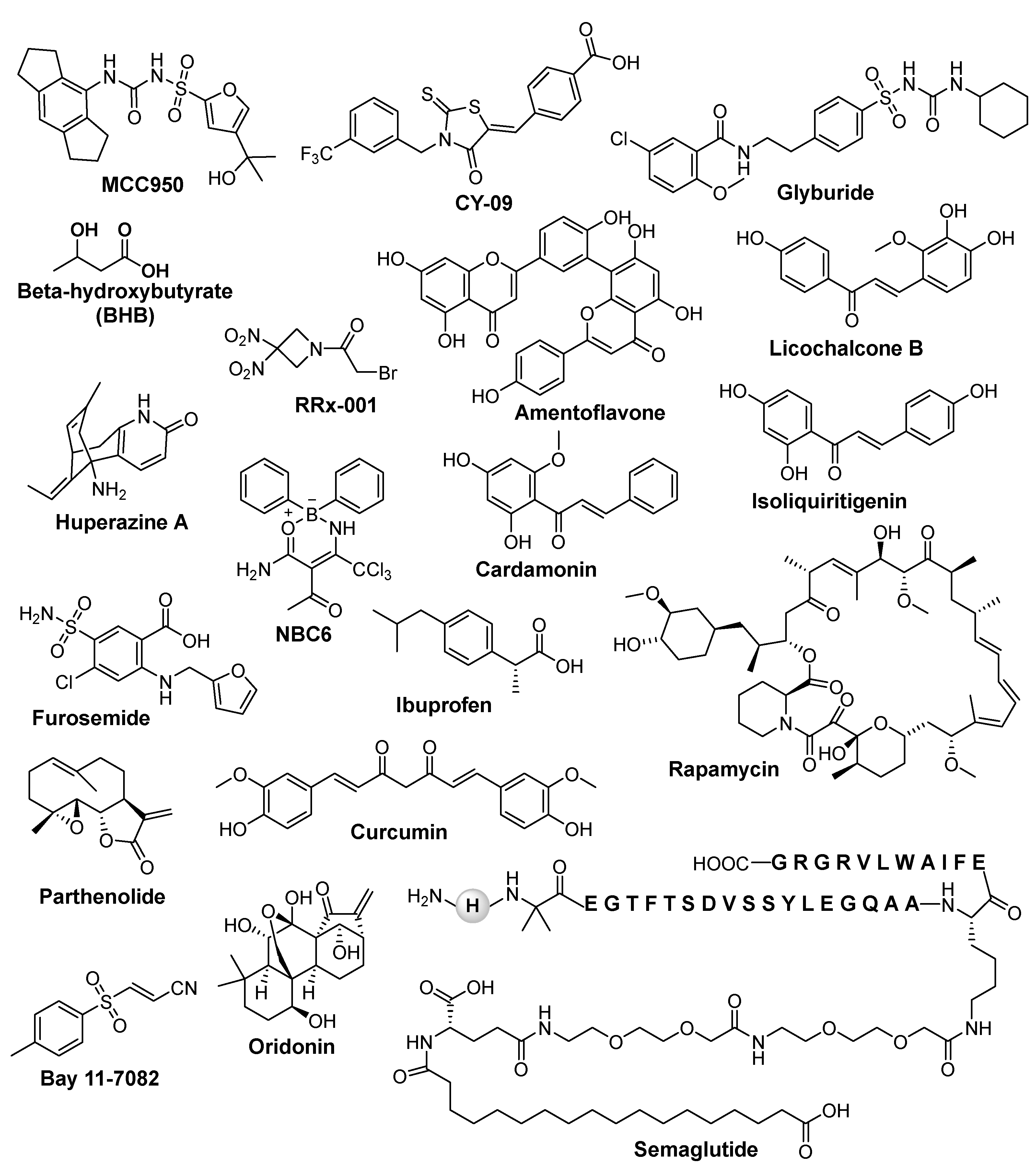 Preprints 105924 g003