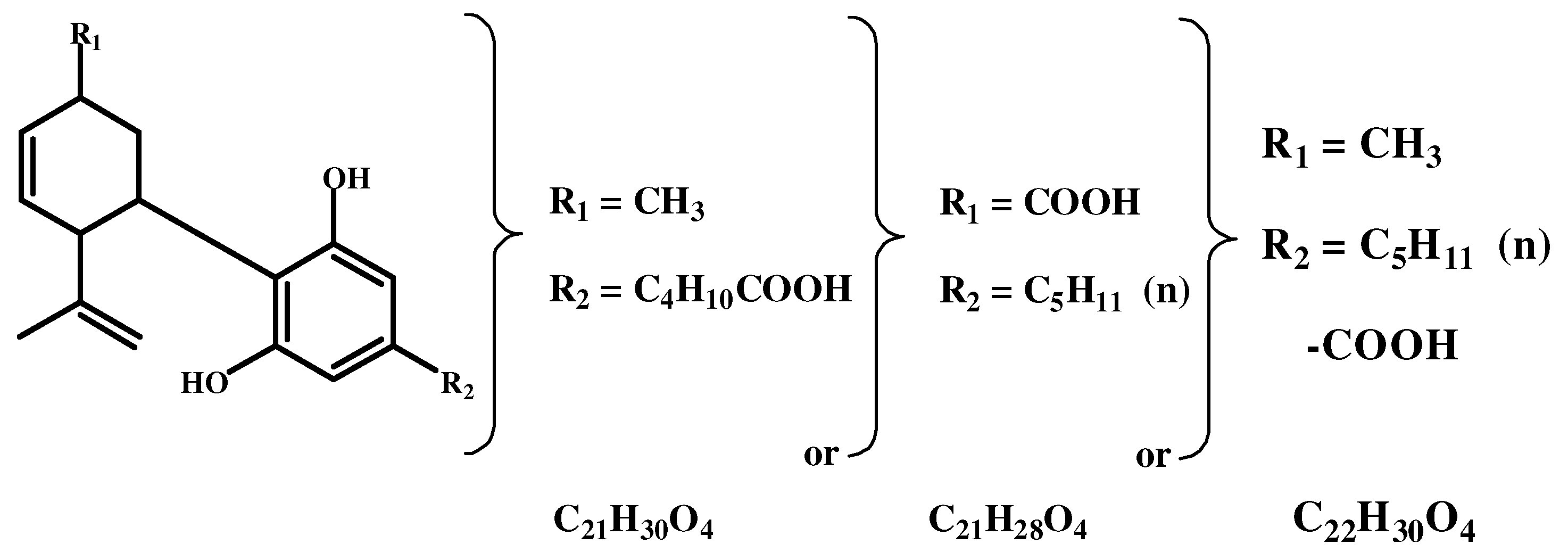 Preprints 150570 g006