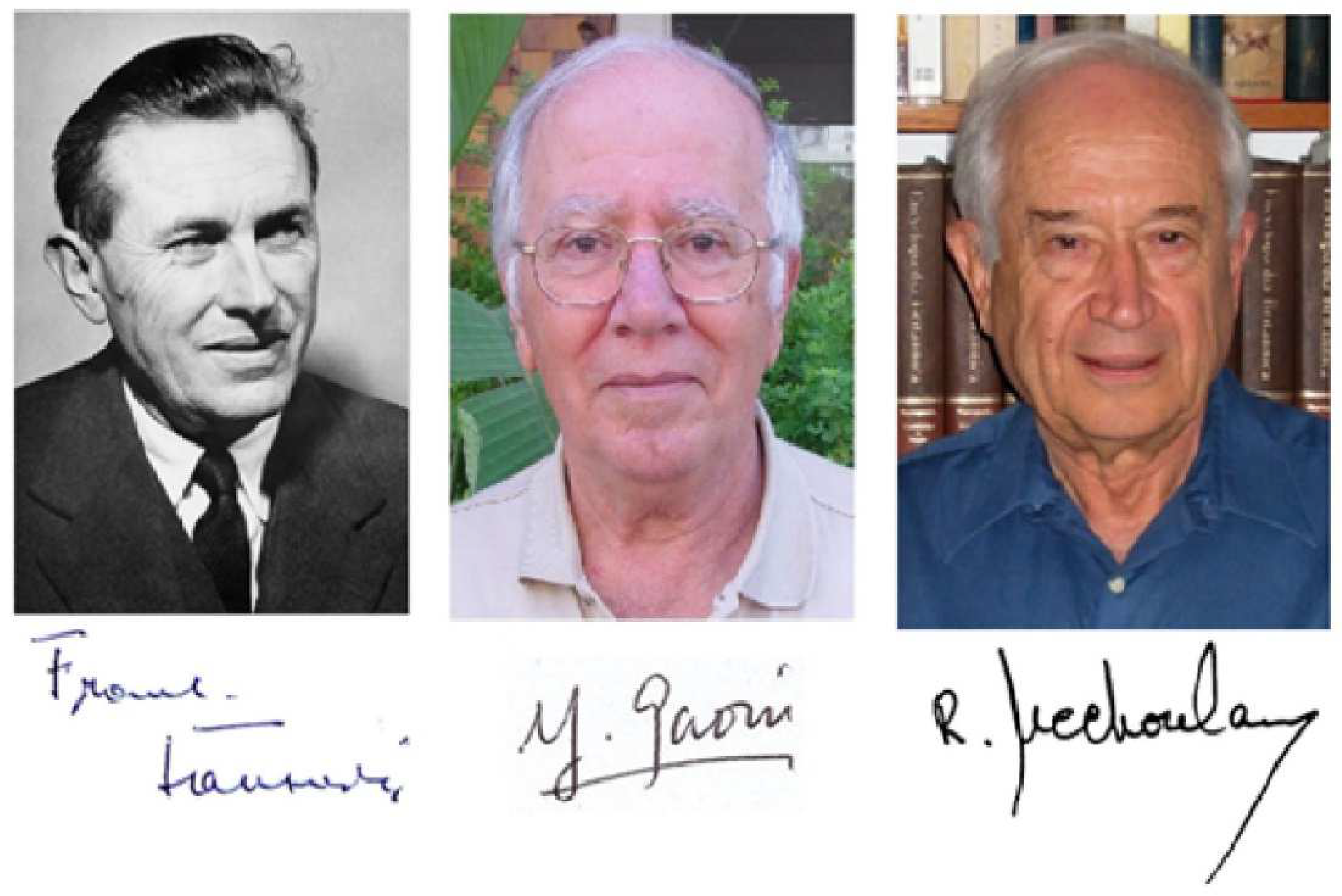 Preprints 150570 g013