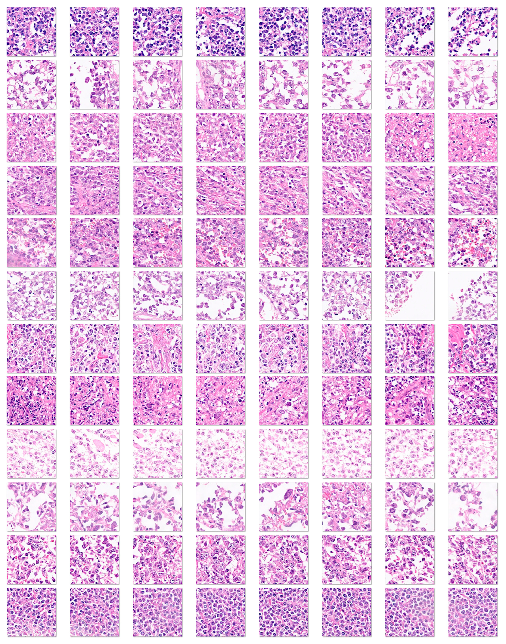 Preprints 204861 g005 Preprints 204861 g005