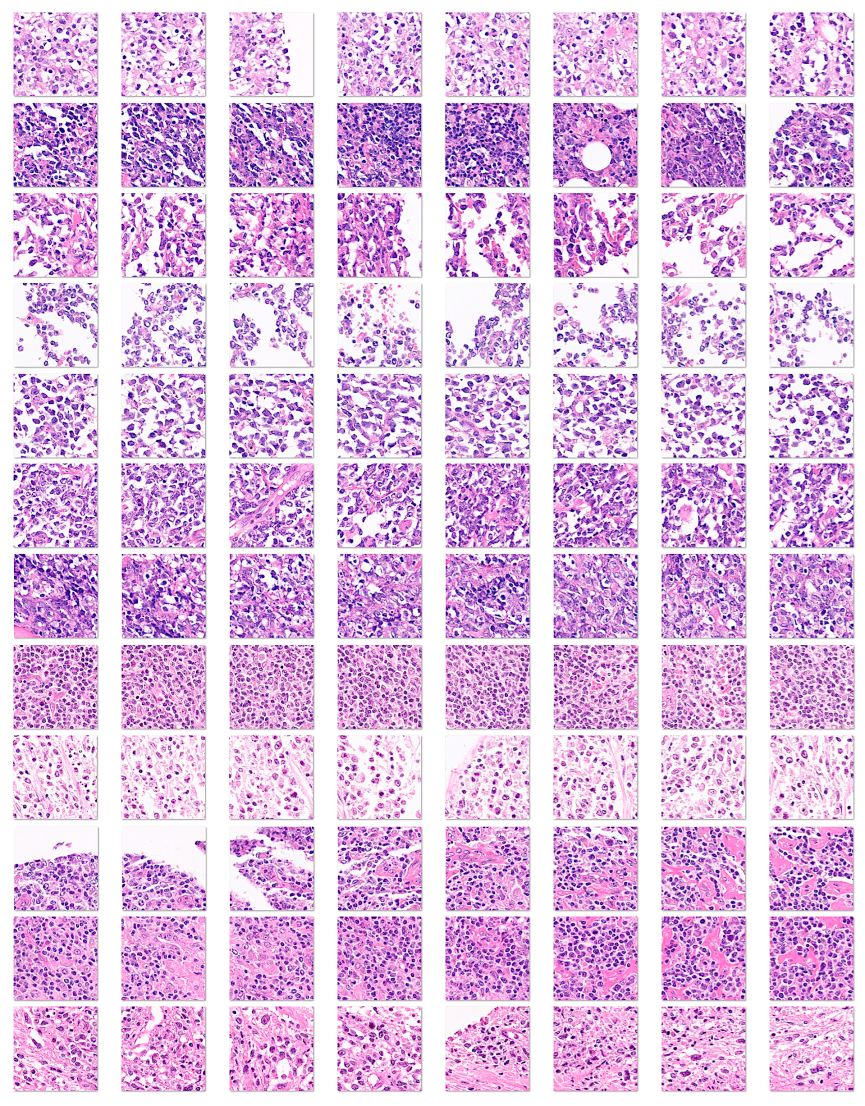 Preprints 204861 g006 Preprints 204861 g006