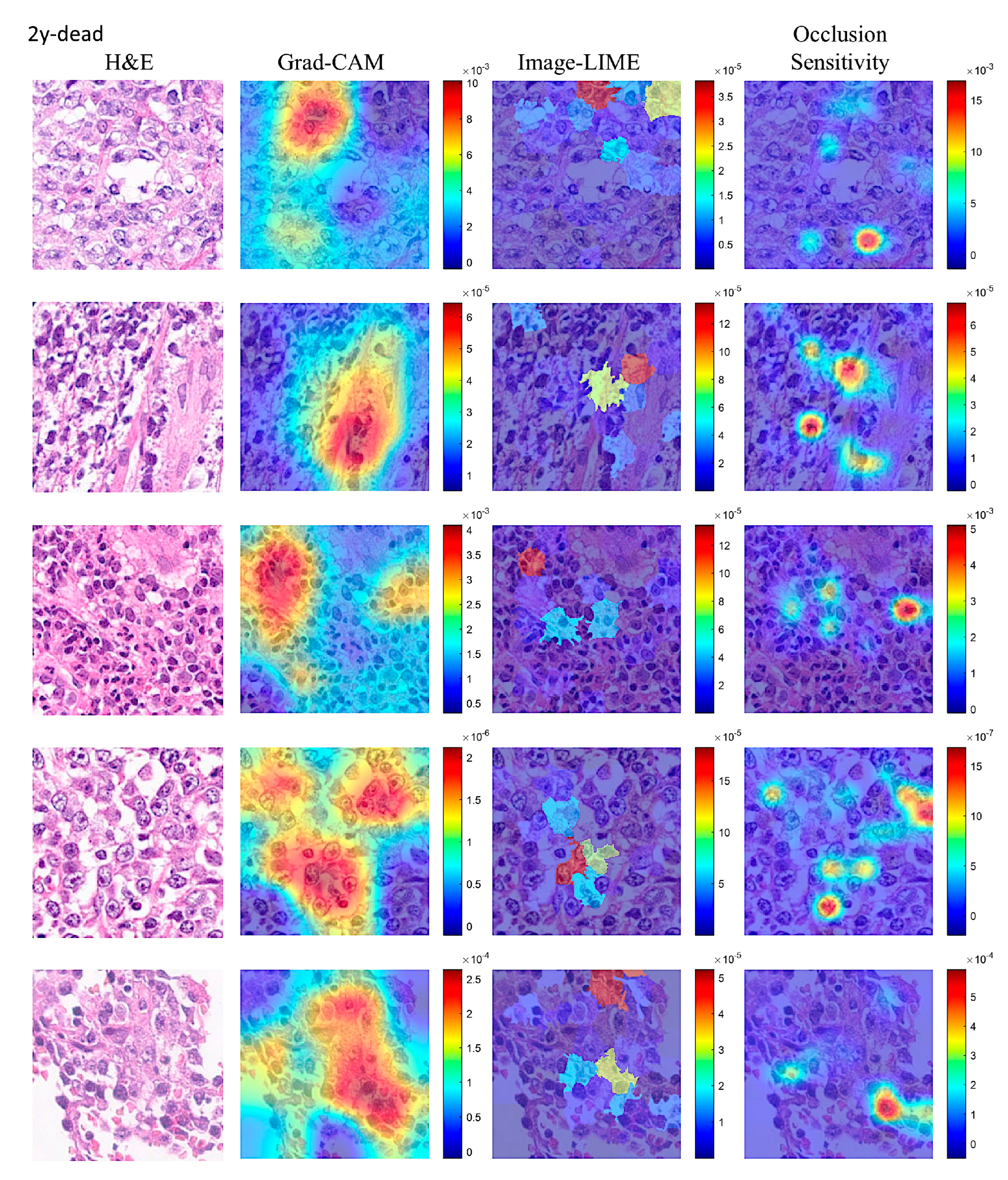 Preprints 204861 g013 Preprints 204861 g013