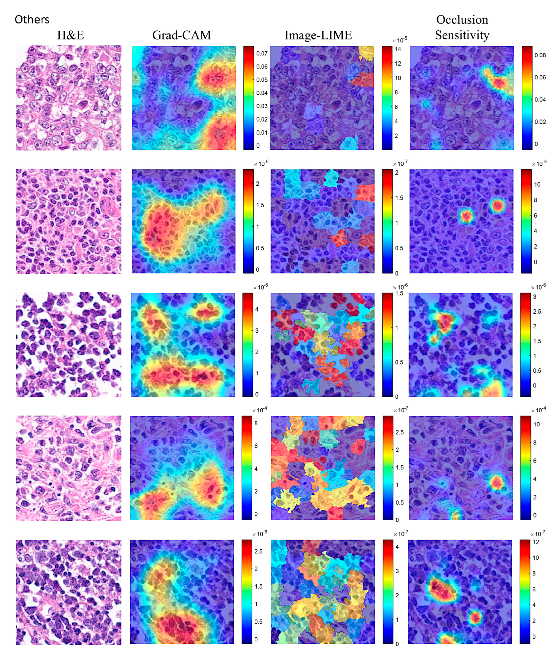 Preprints 204861 g014 Preprints 204861 g014
