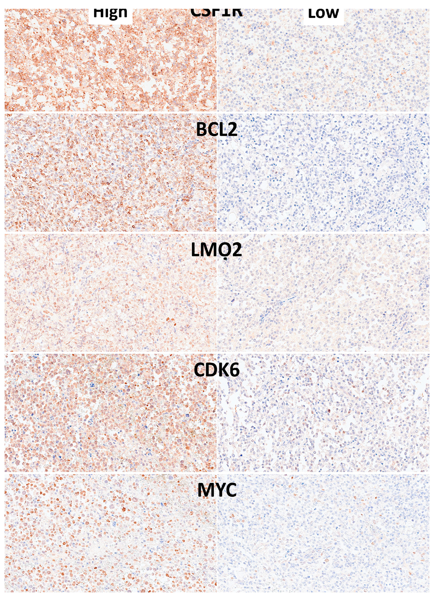 Preprints 204861 g017 Preprints 204861 g017