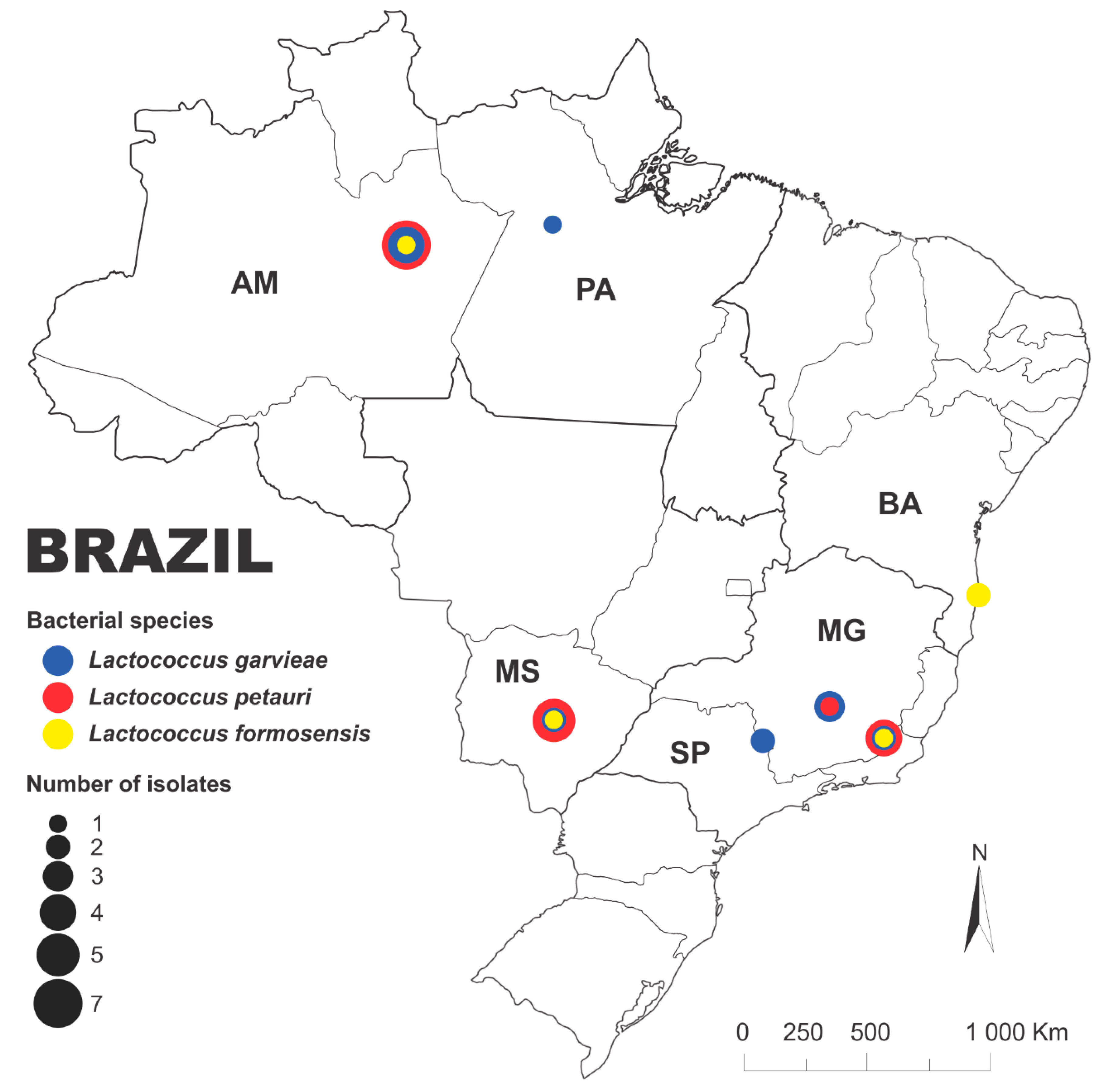 Preprints 102977 g001