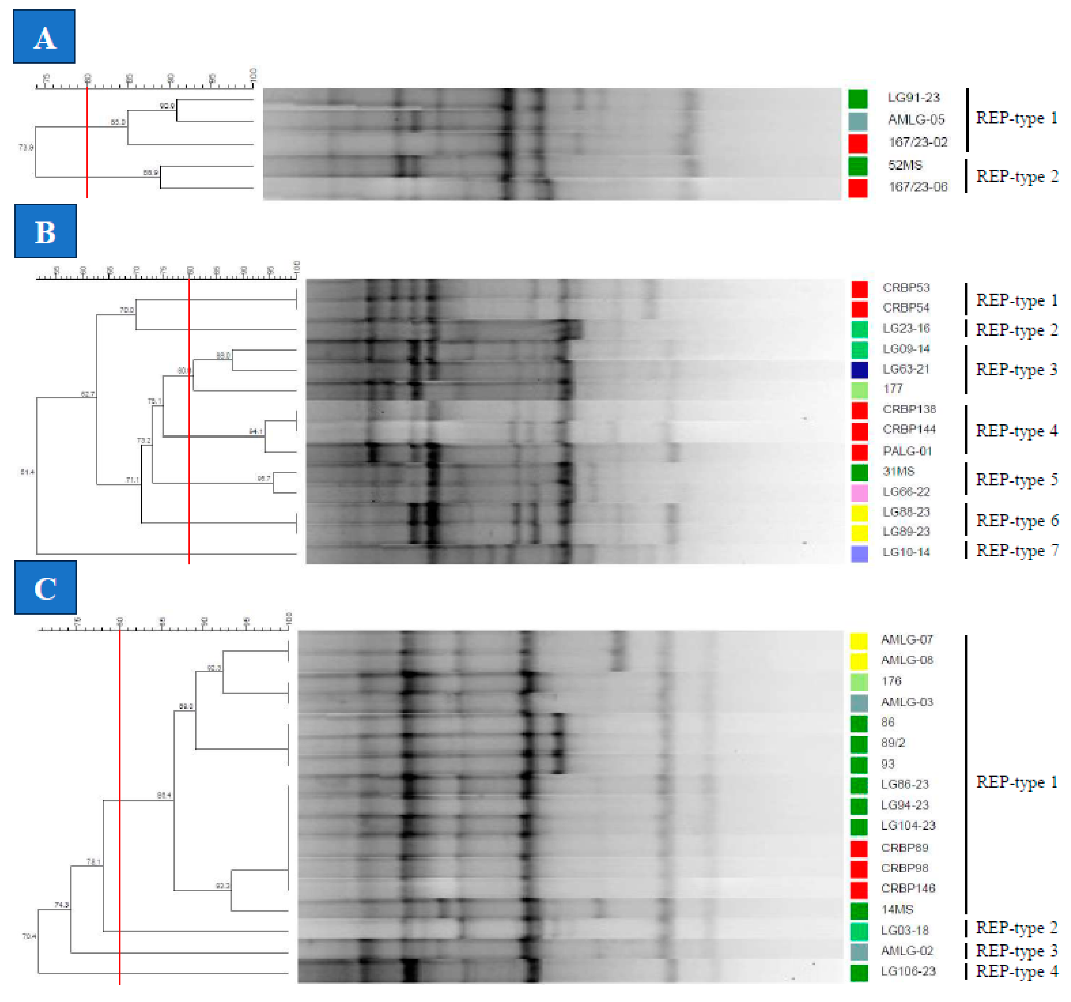 Preprints 102977 g003