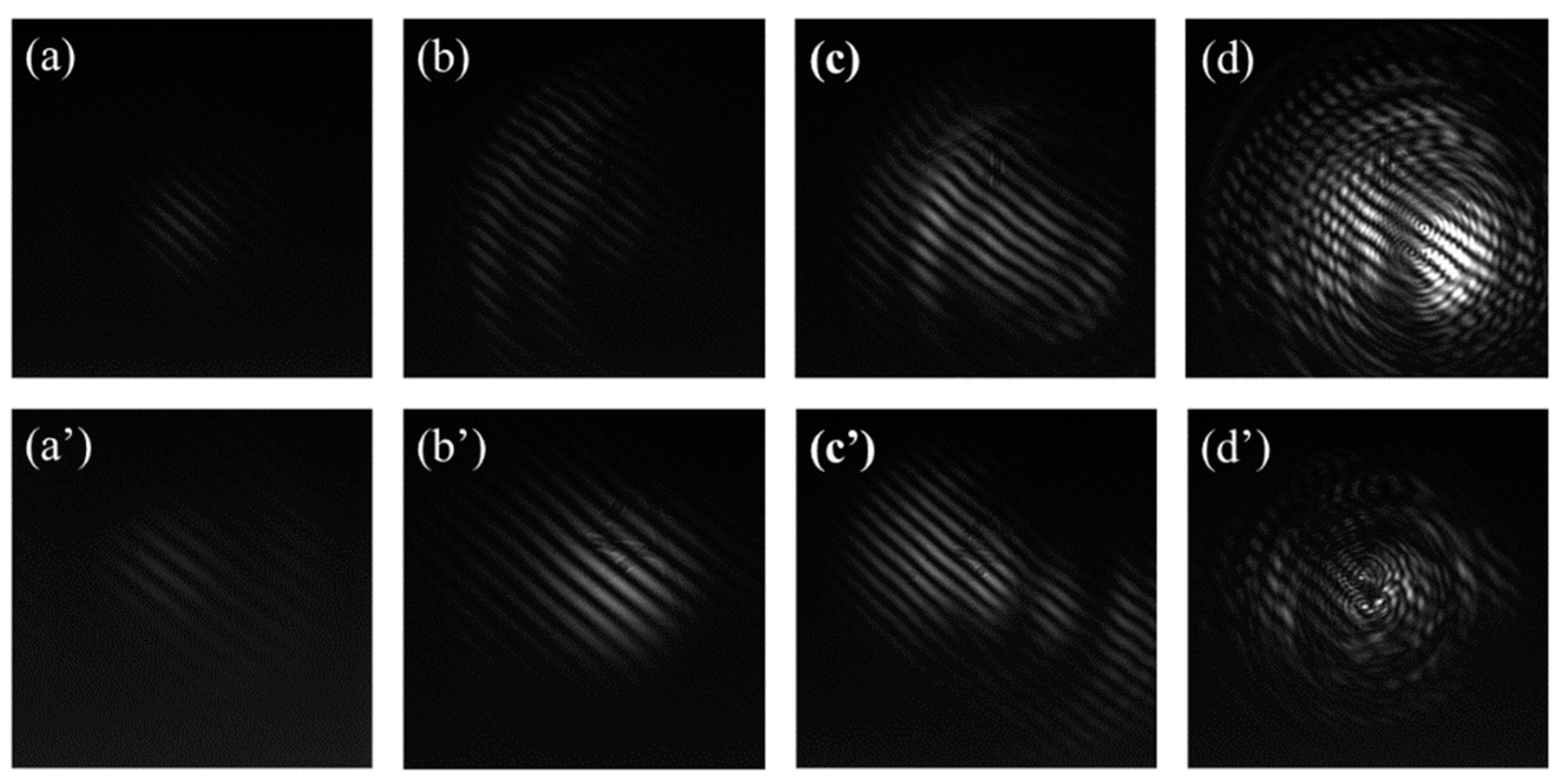Preprints 86337 g005