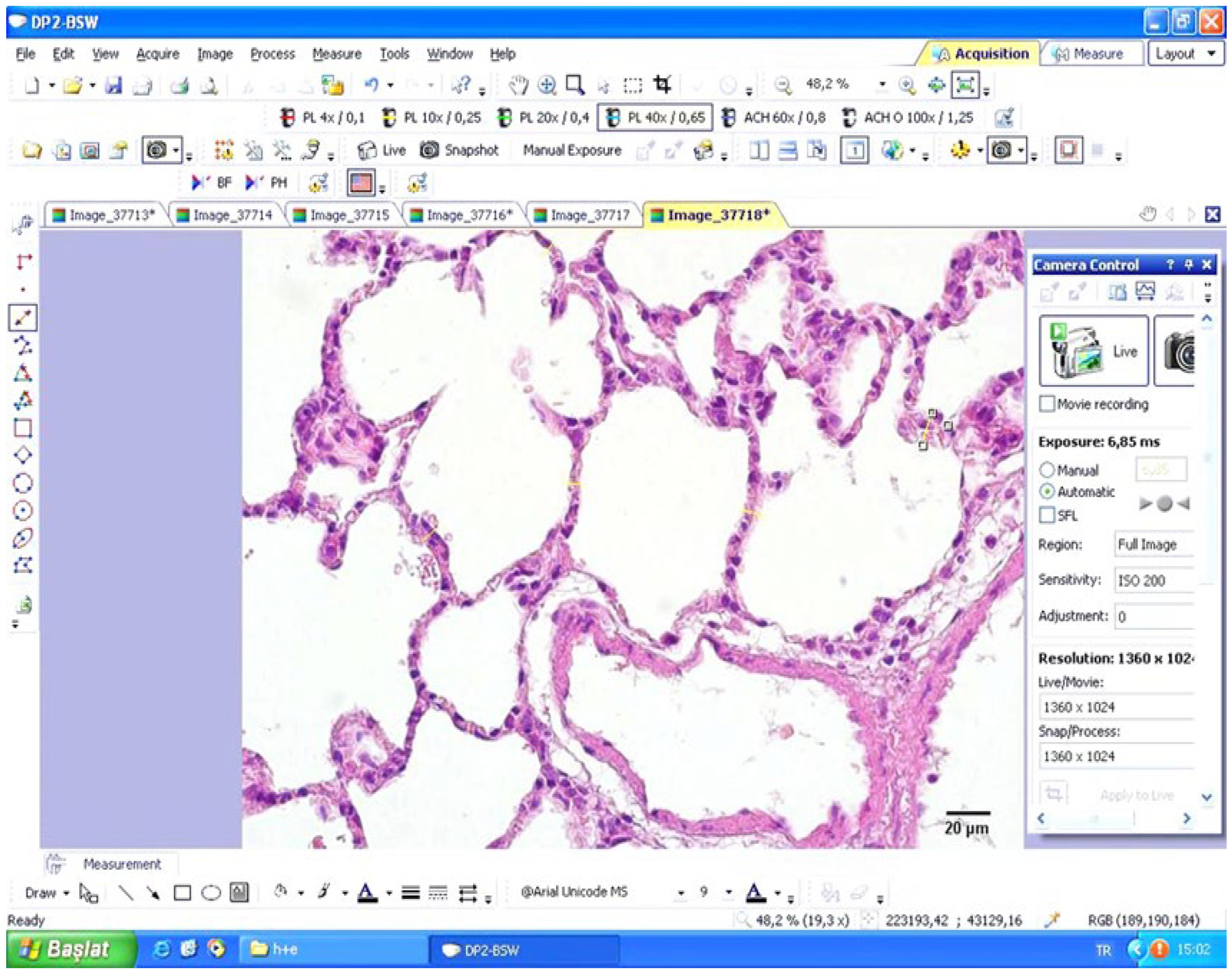 Preprints 211419 g001