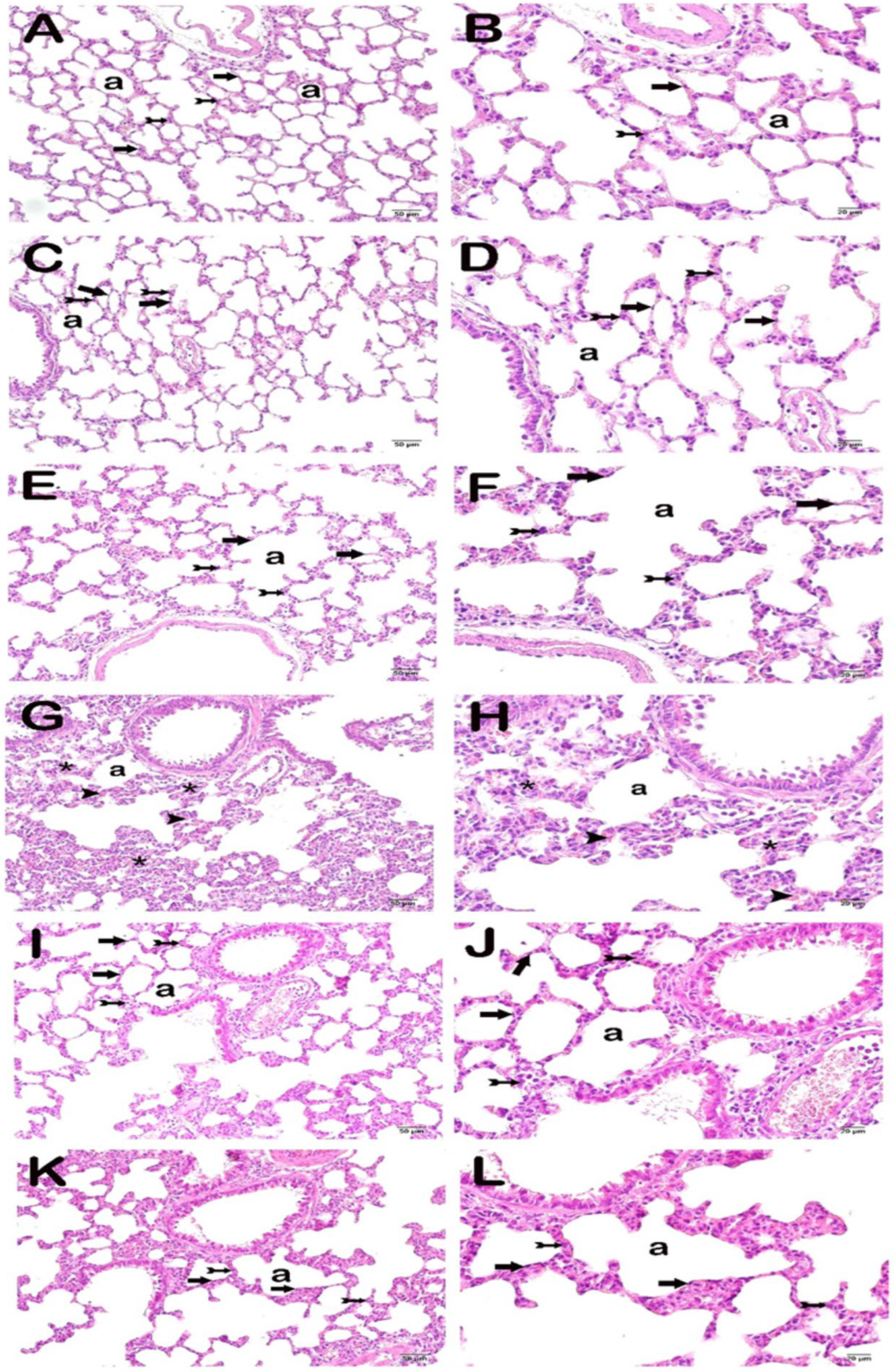 Preprints 211419 g002