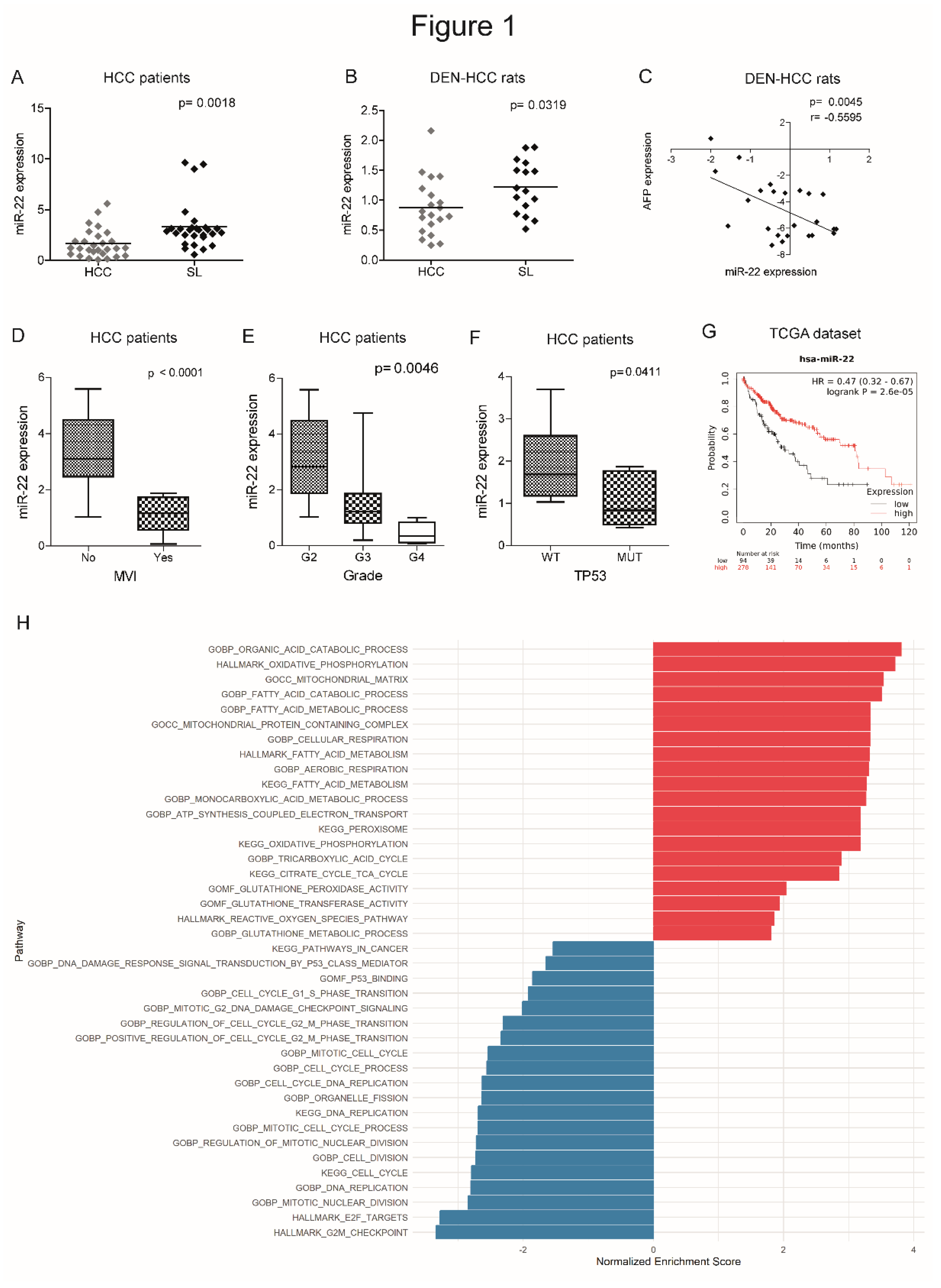 Preprints 151736 g001