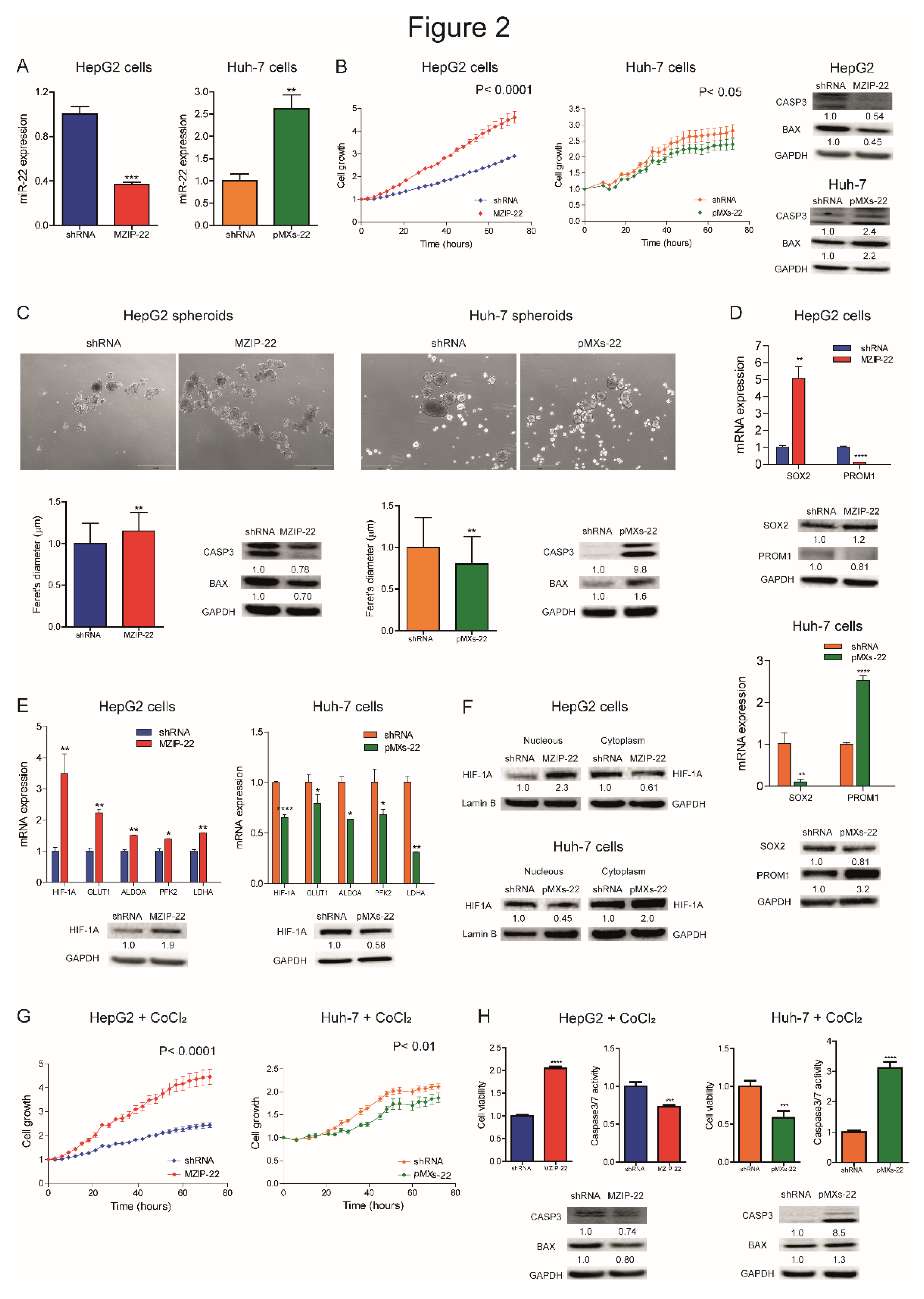 Preprints 151736 g002