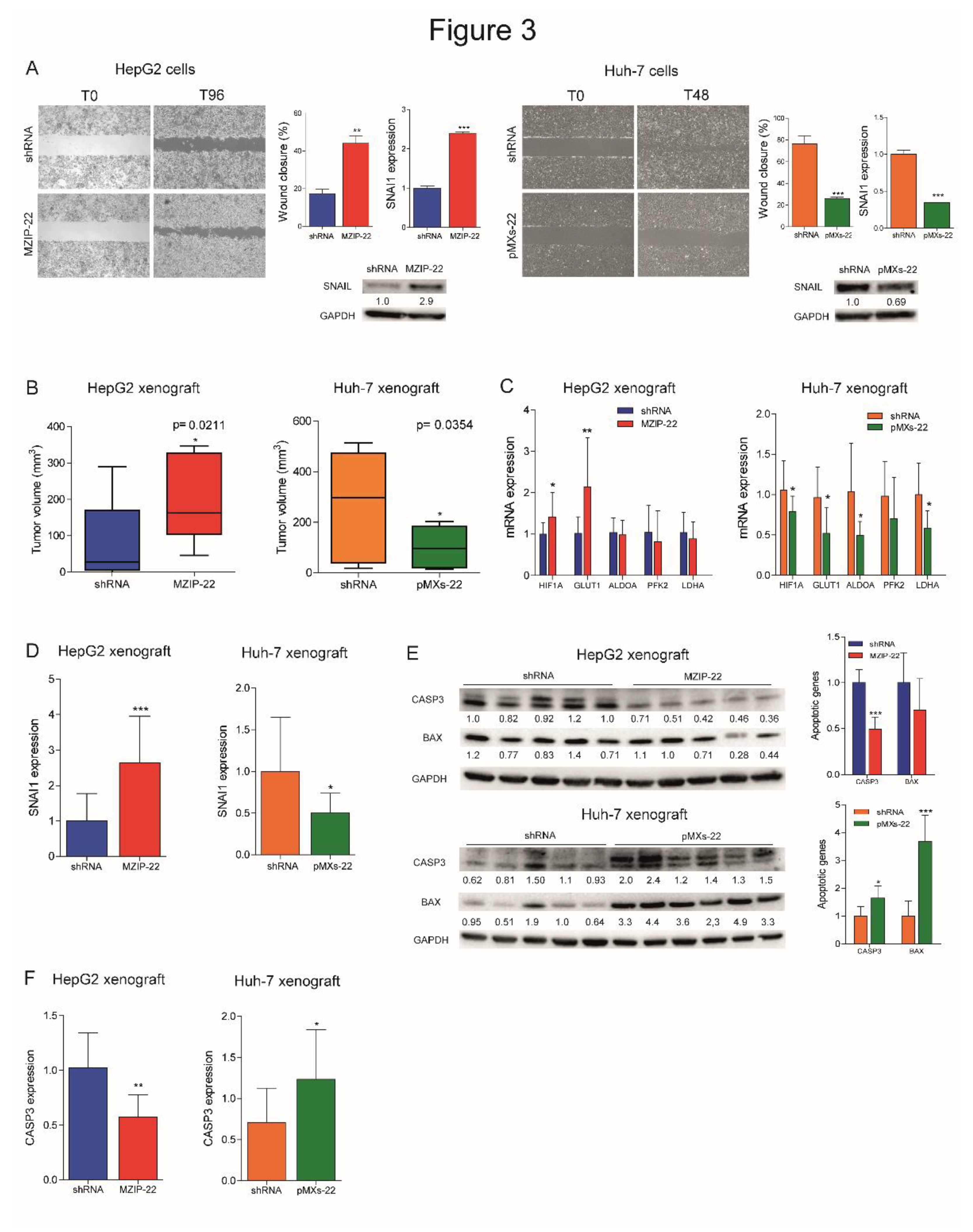 Preprints 151736 g003