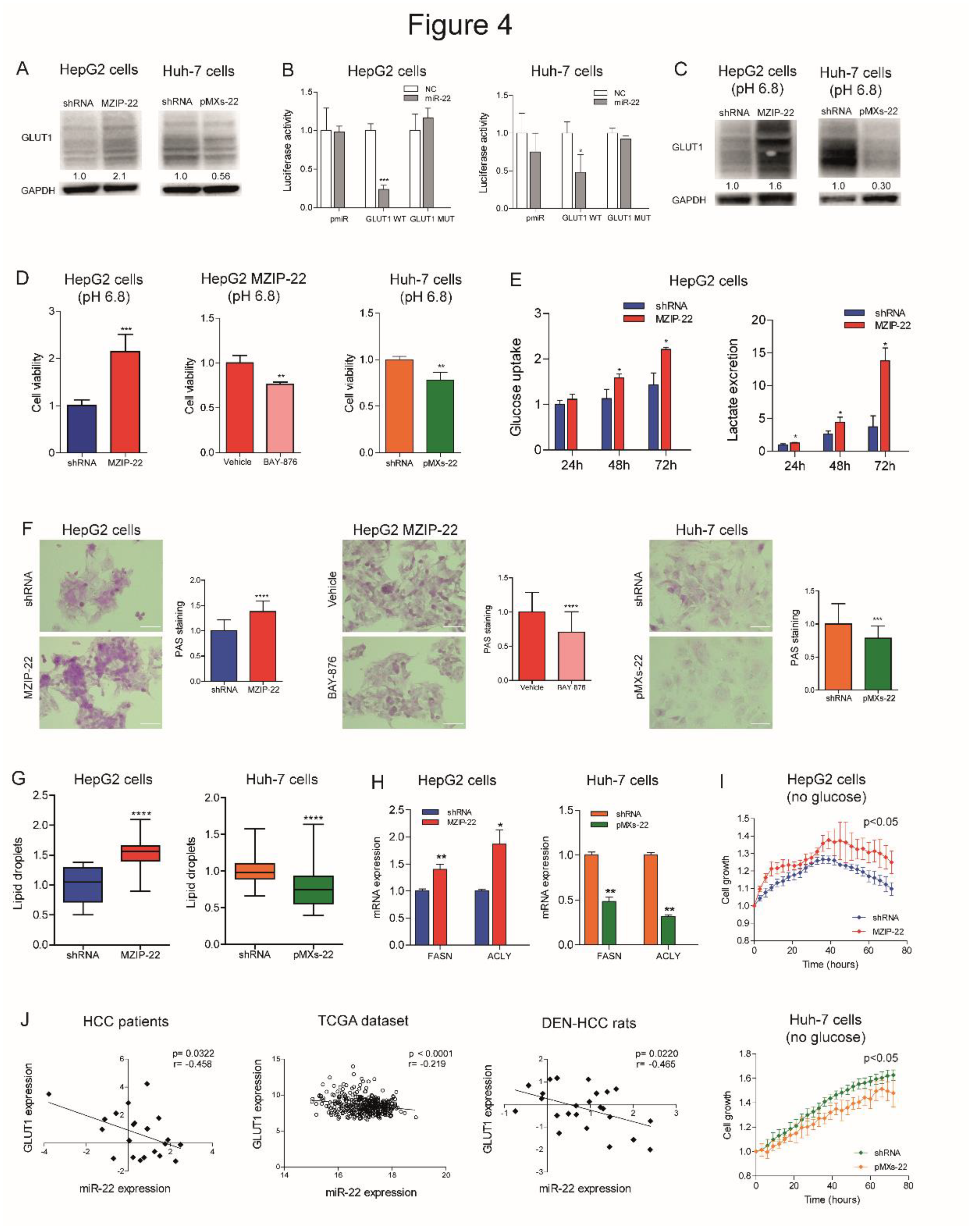 Preprints 151736 g004