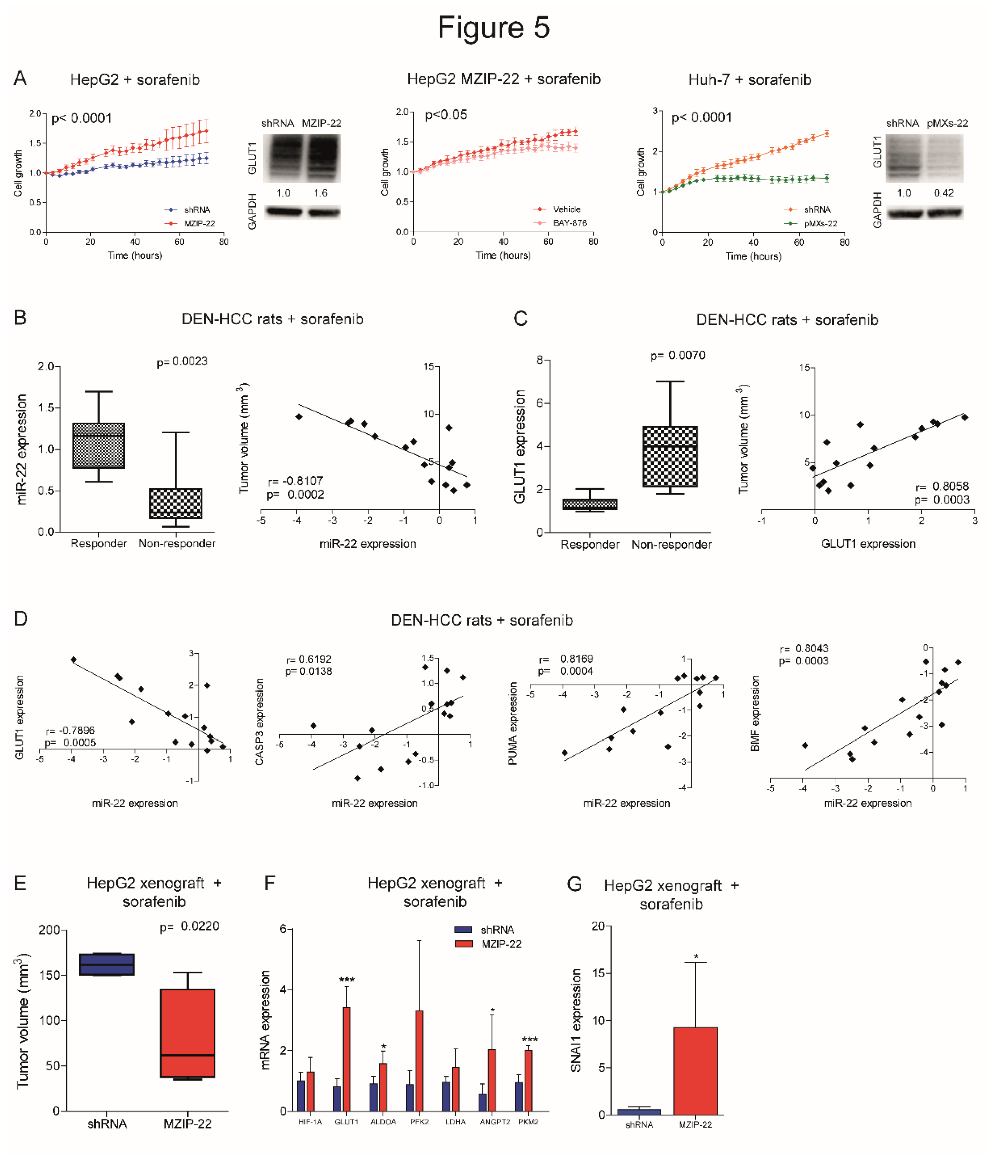 Preprints 151736 g005