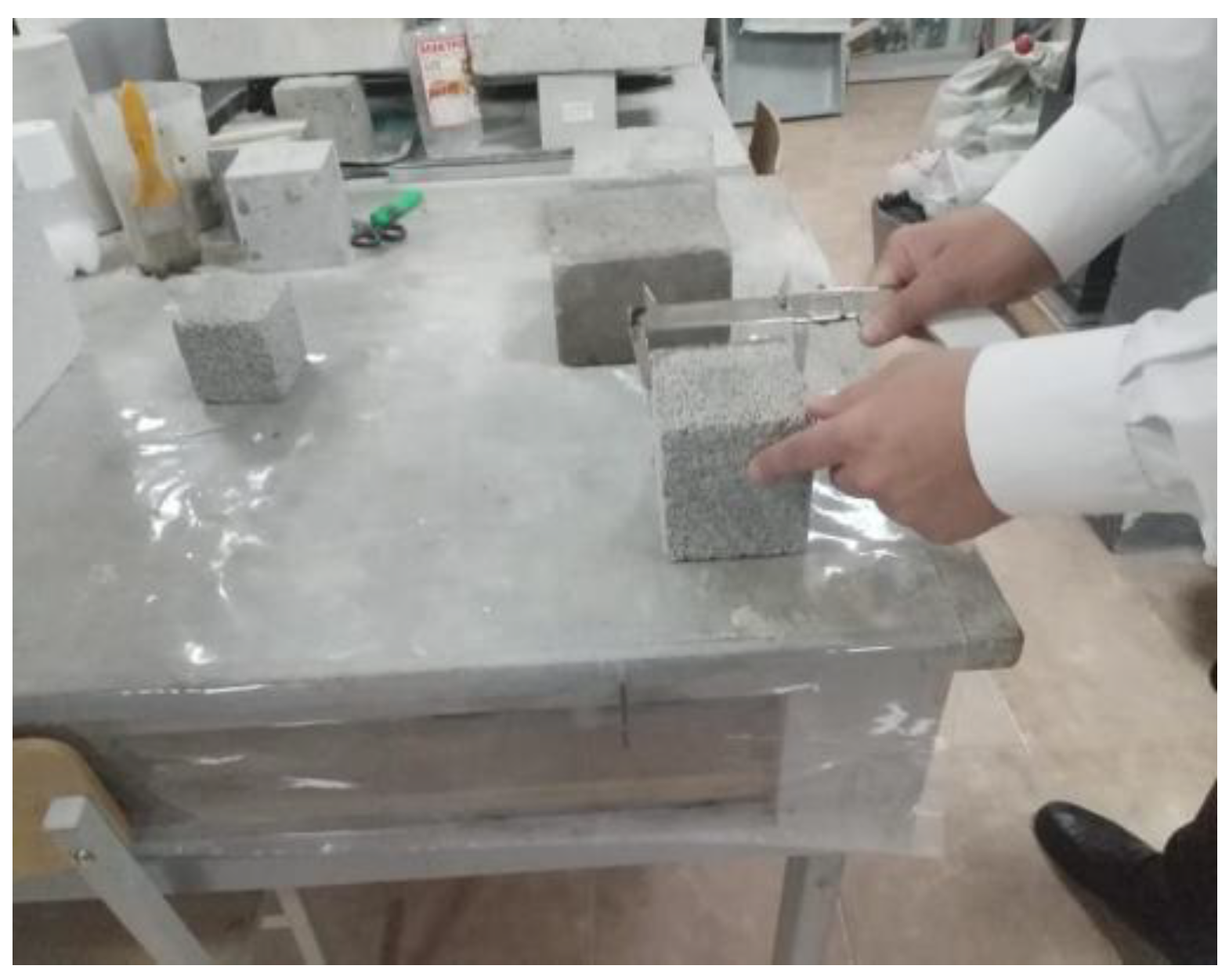 Preprints 169077 g002