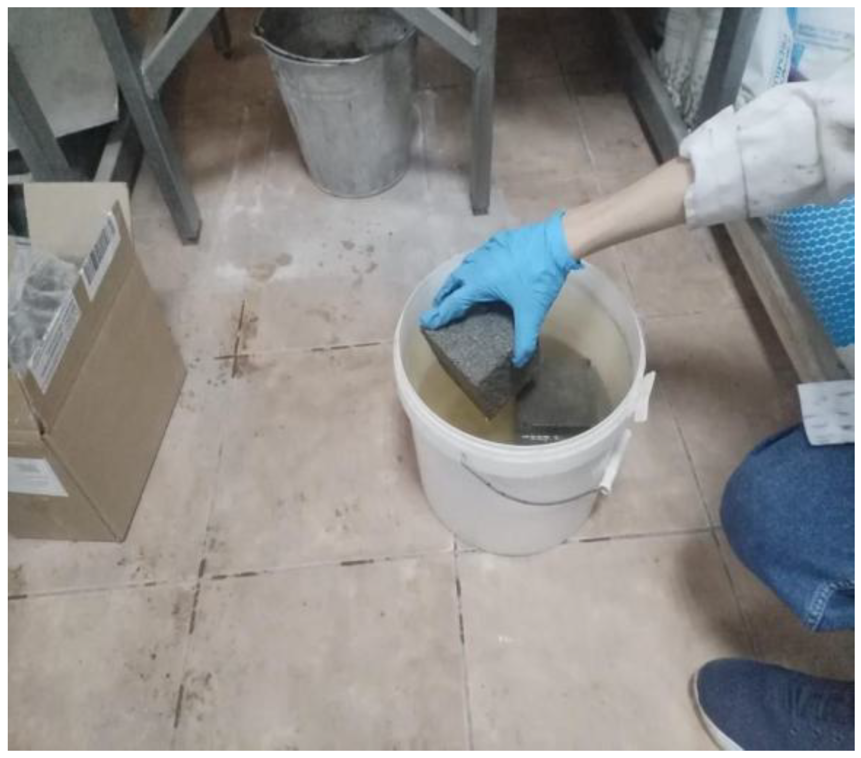 Preprints 169077 g004