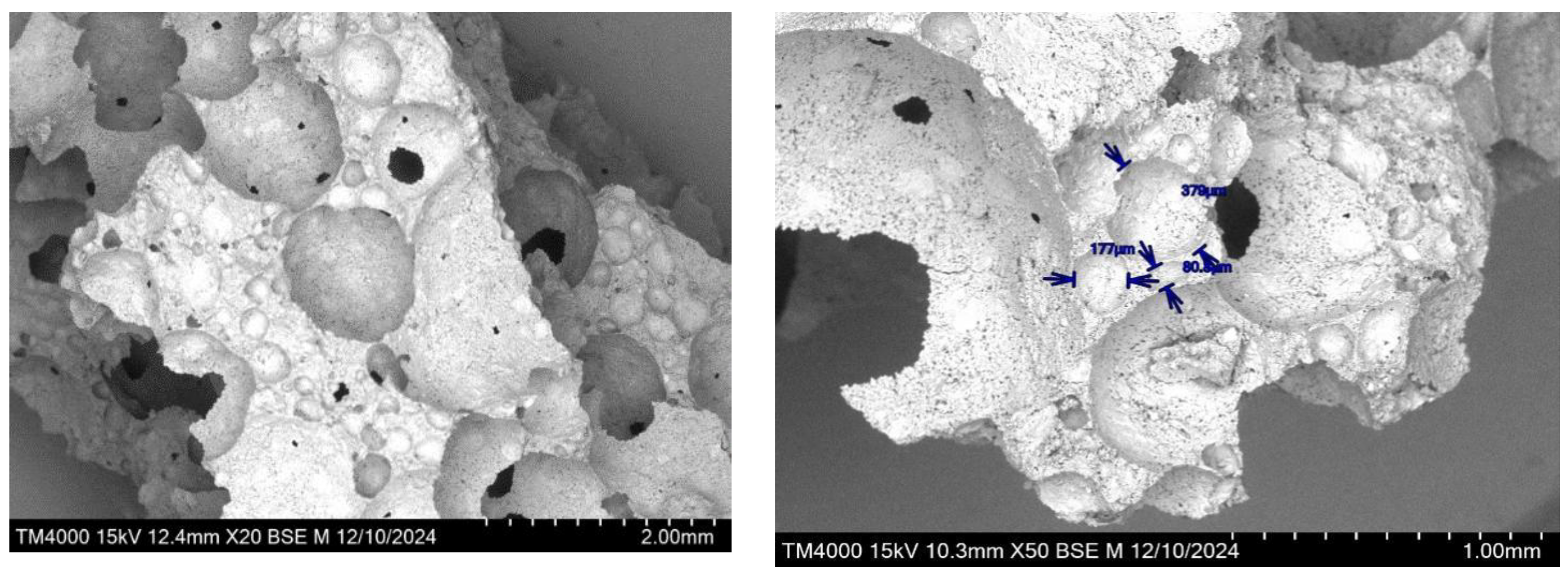 Preprints 169077 g006