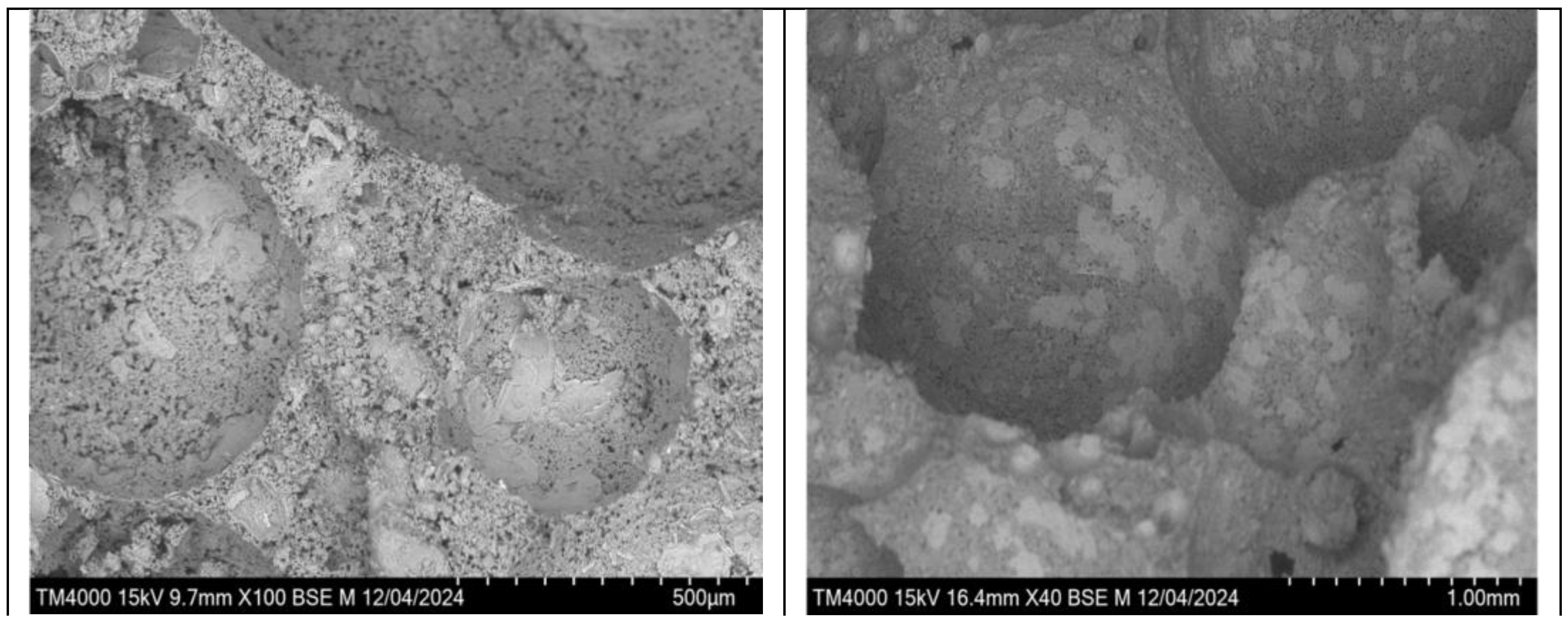 Preprints 169077 g007