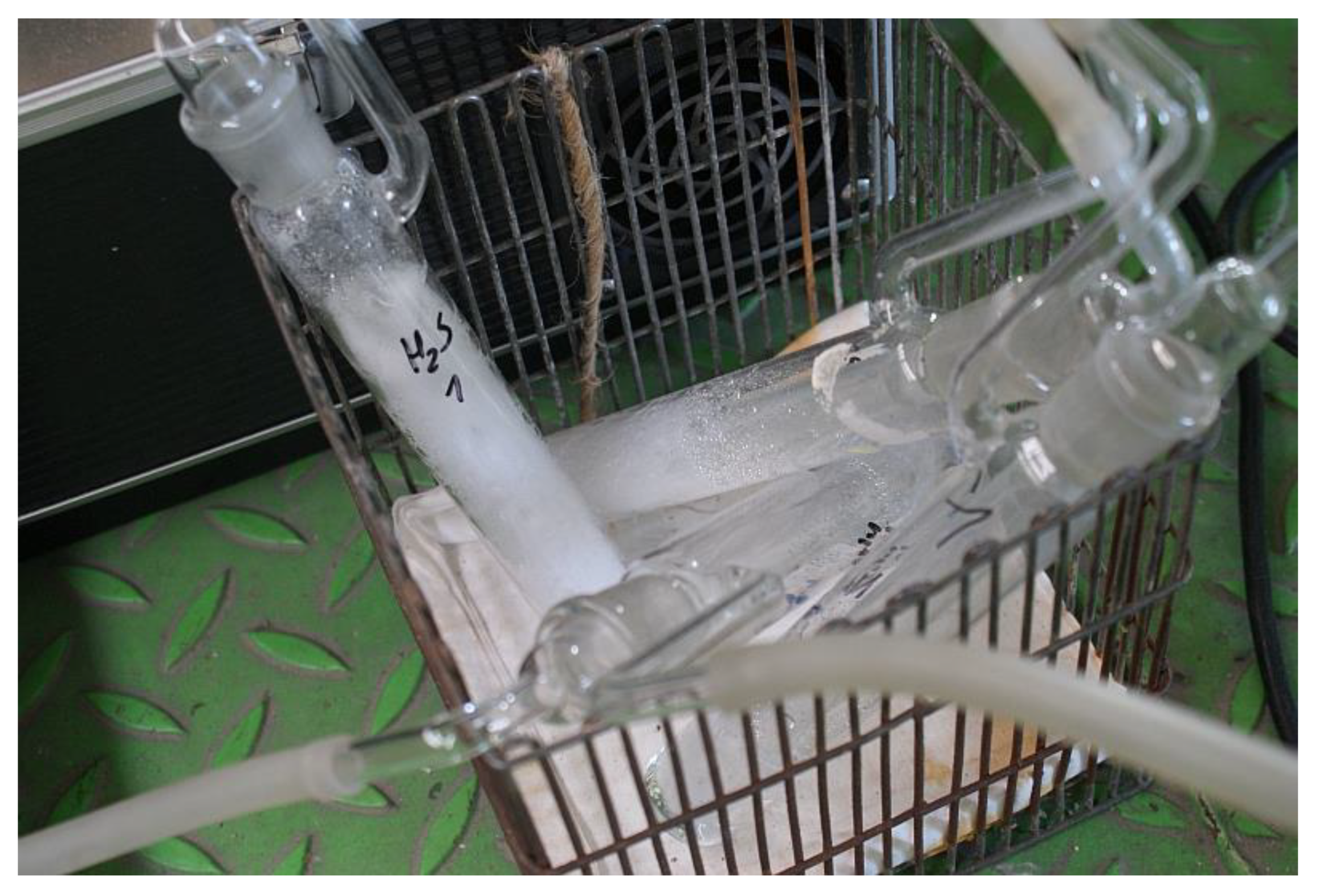 Preprints 160975 g009