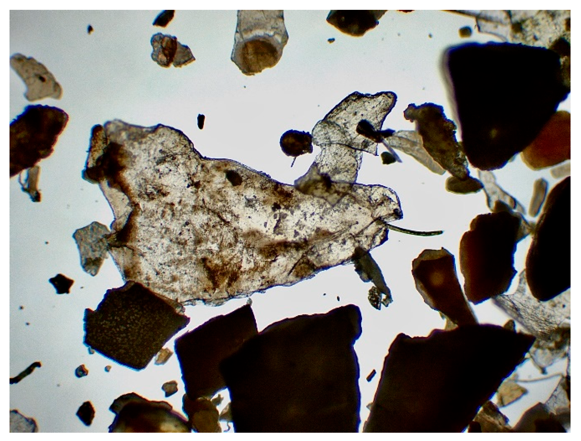 Preprints 161437 g007