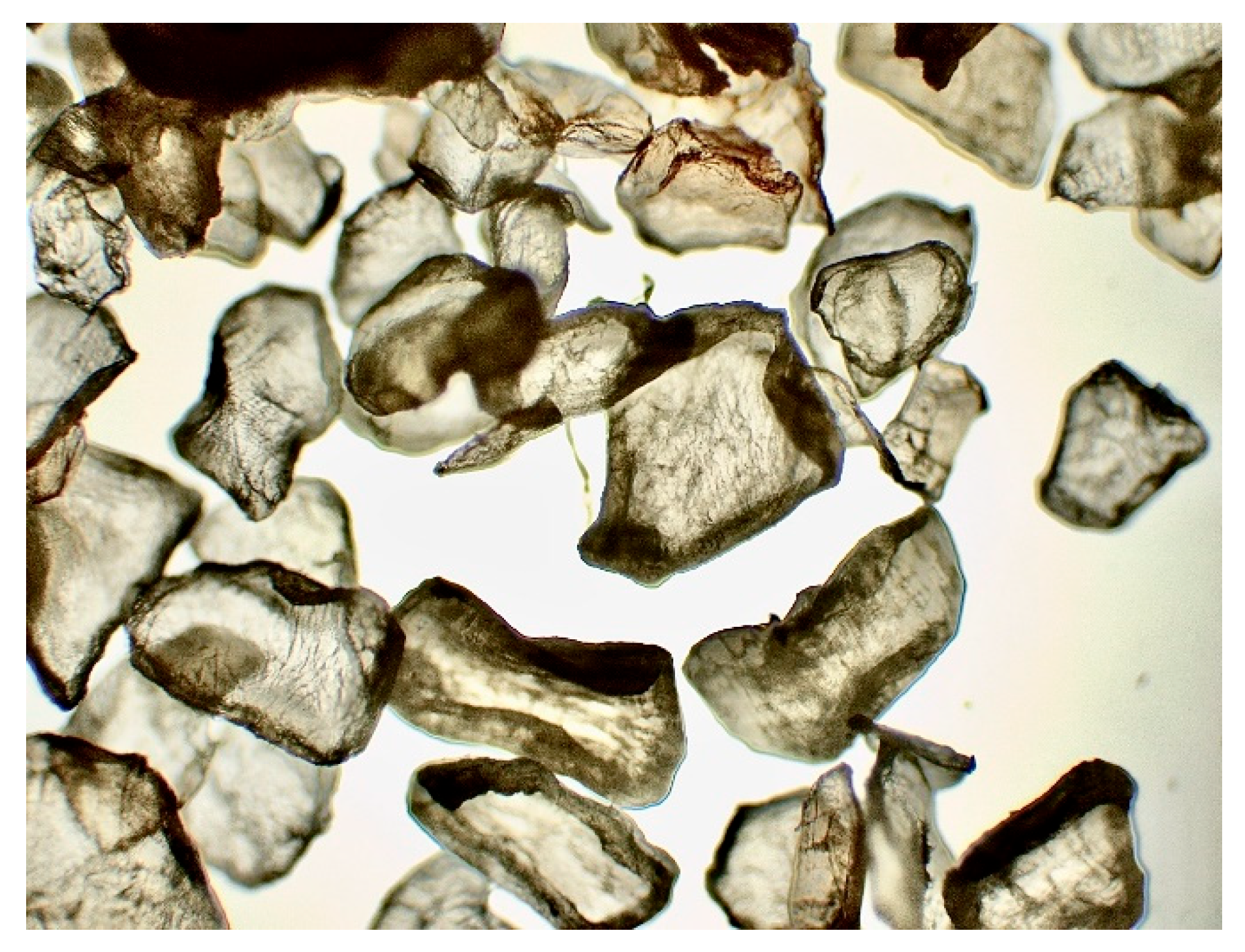 Preprints 161437 g009