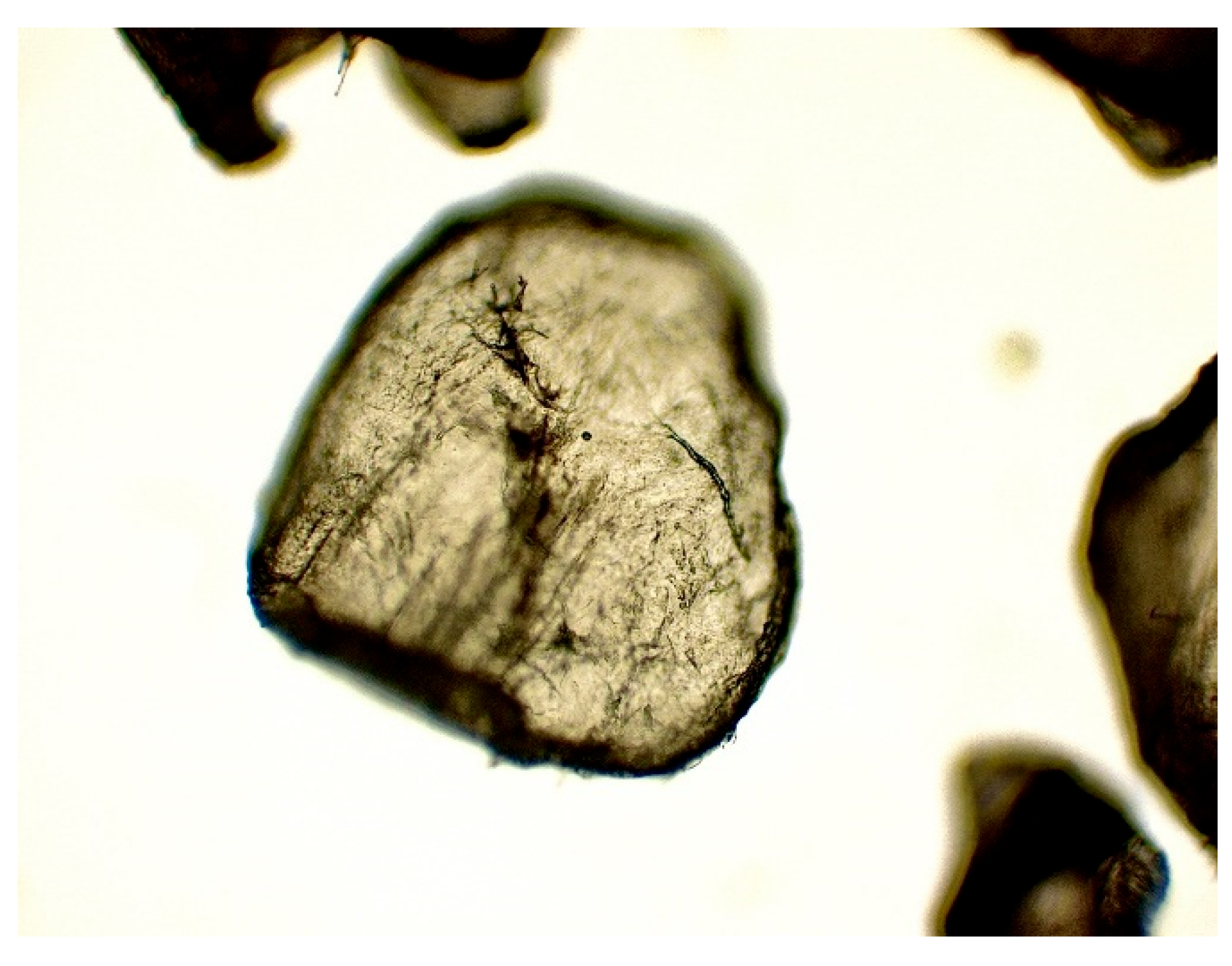 Preprints 161437 g010