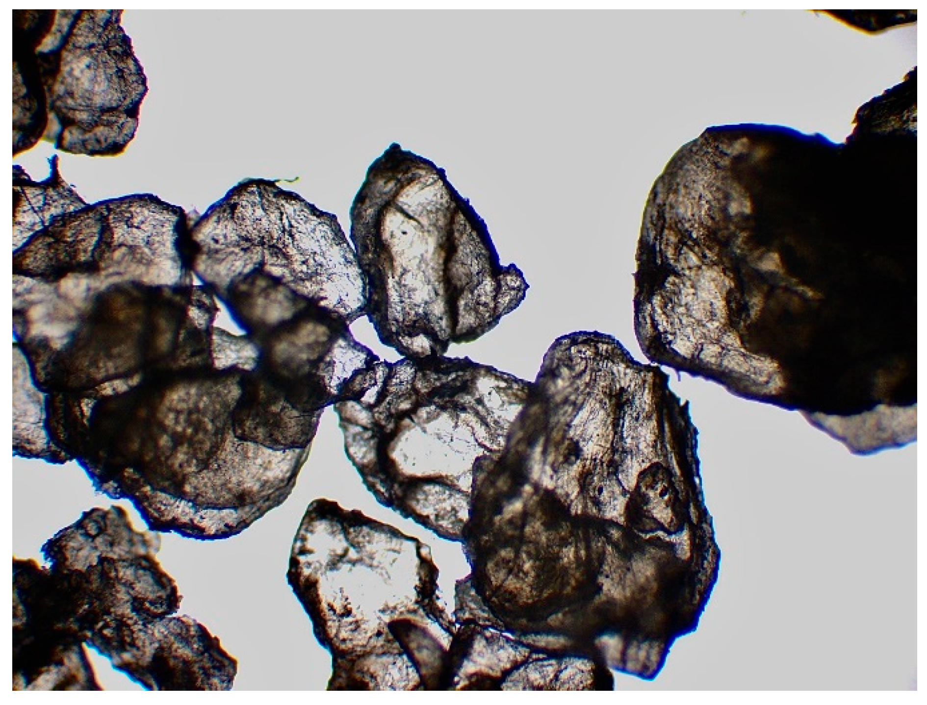 Preprints 161437 g011