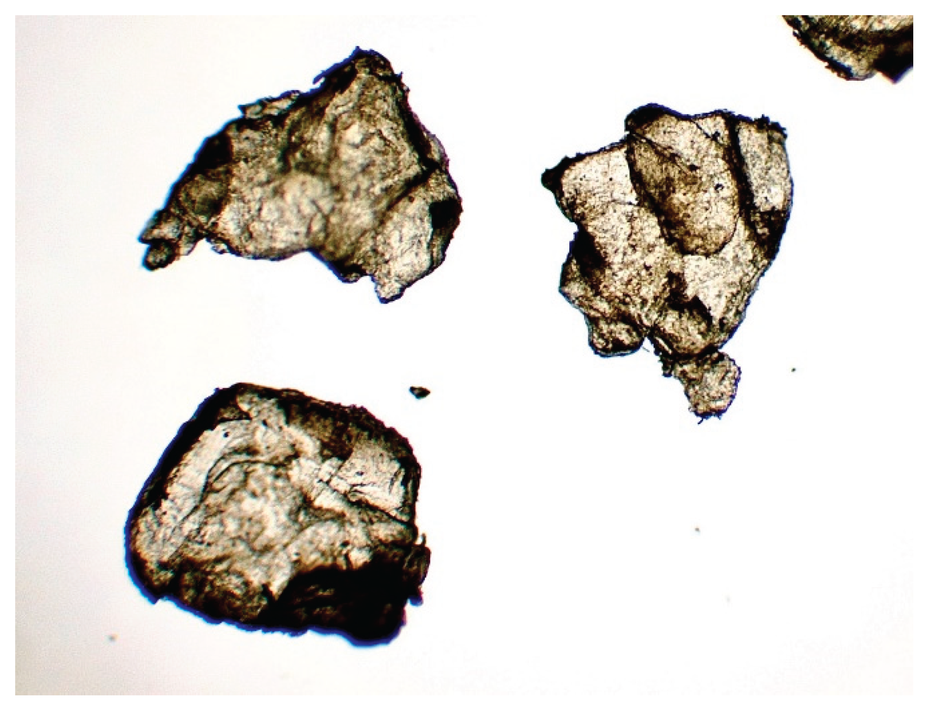 Preprints 161437 g012