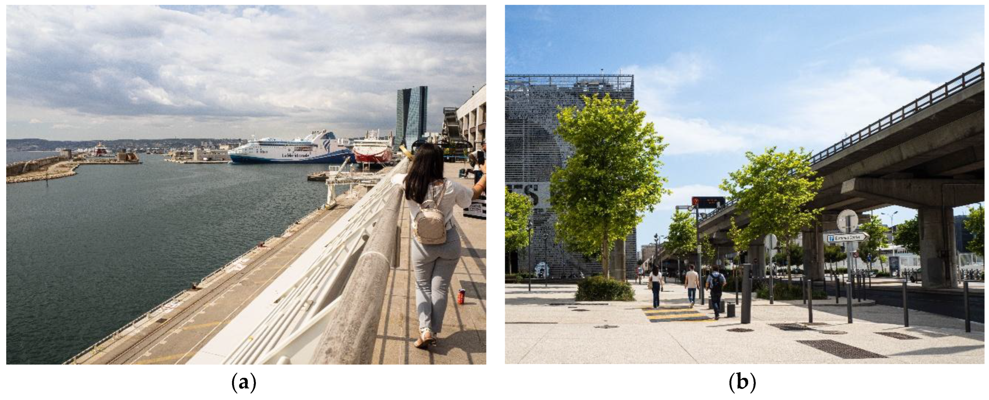 Preprints 169555 g002