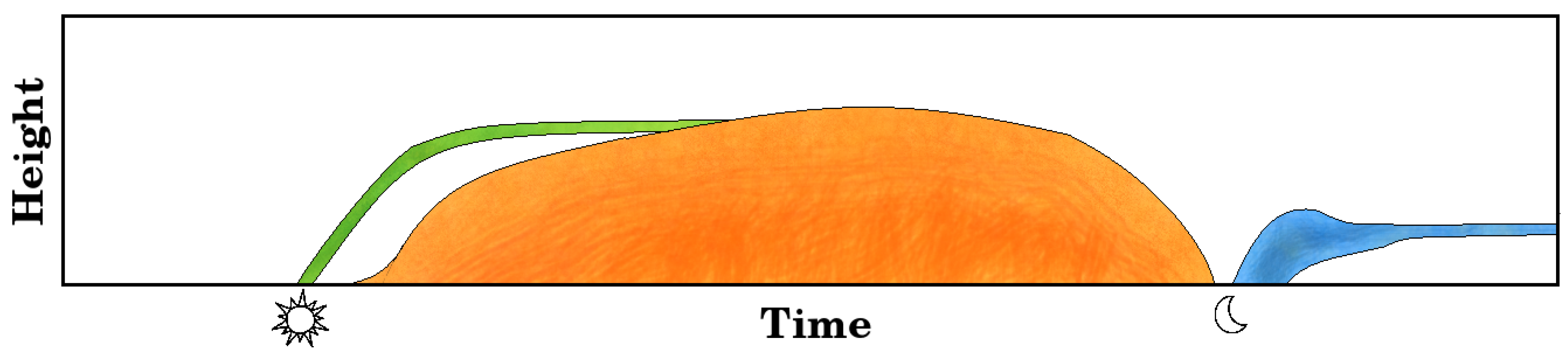 Preprints 140552 g002