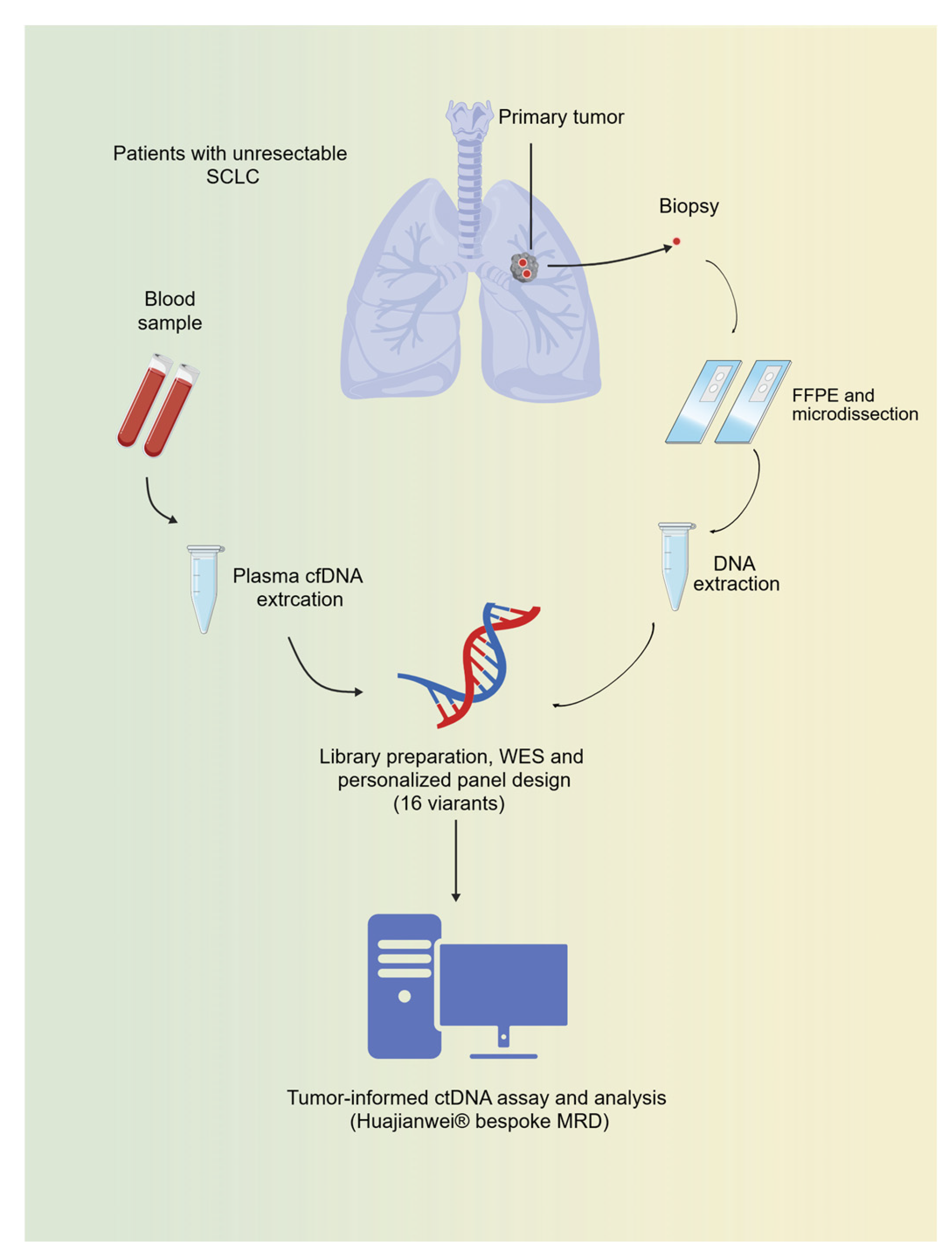 Preprints 201482 g001