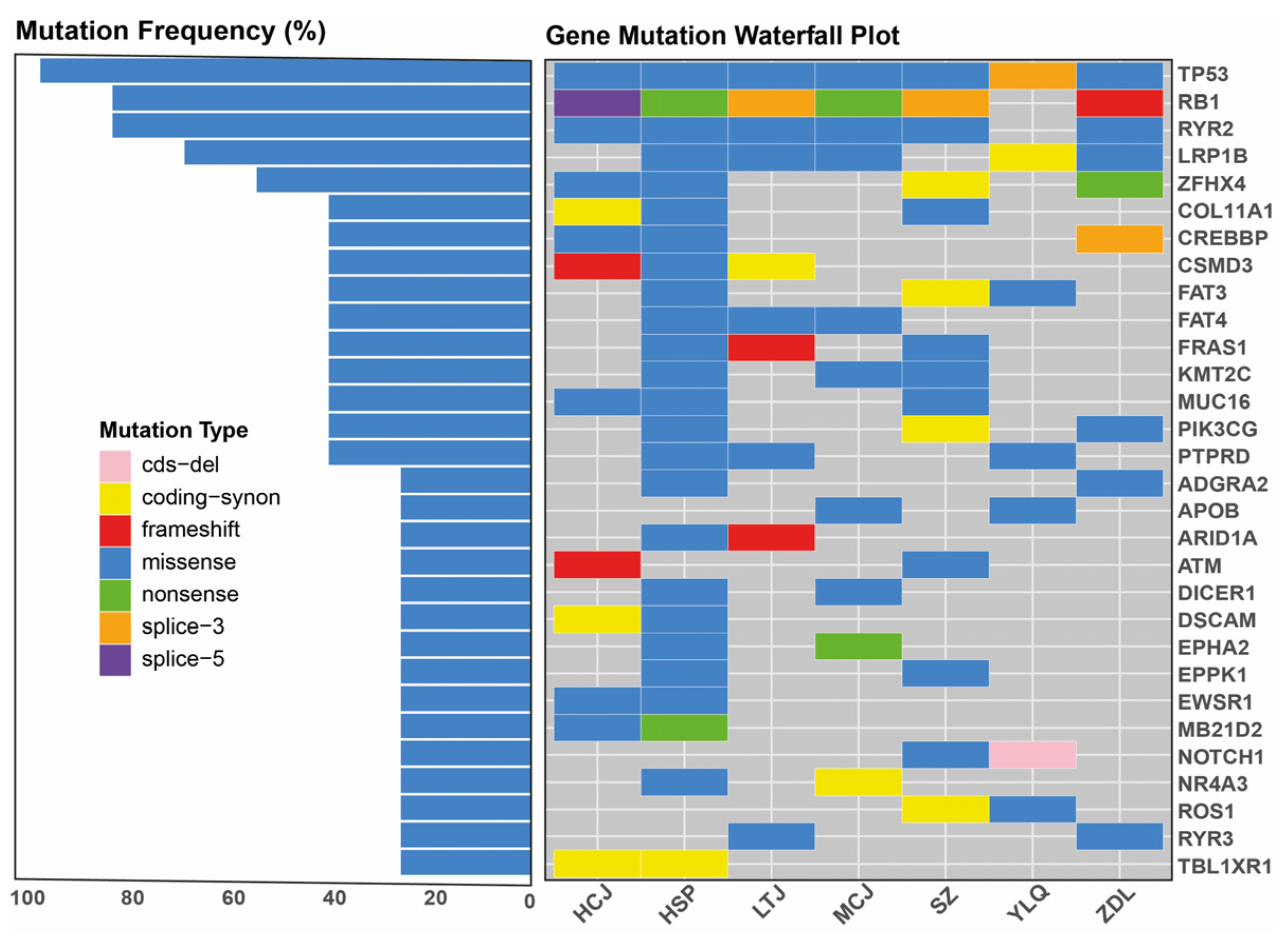 Preprints 201482 g002