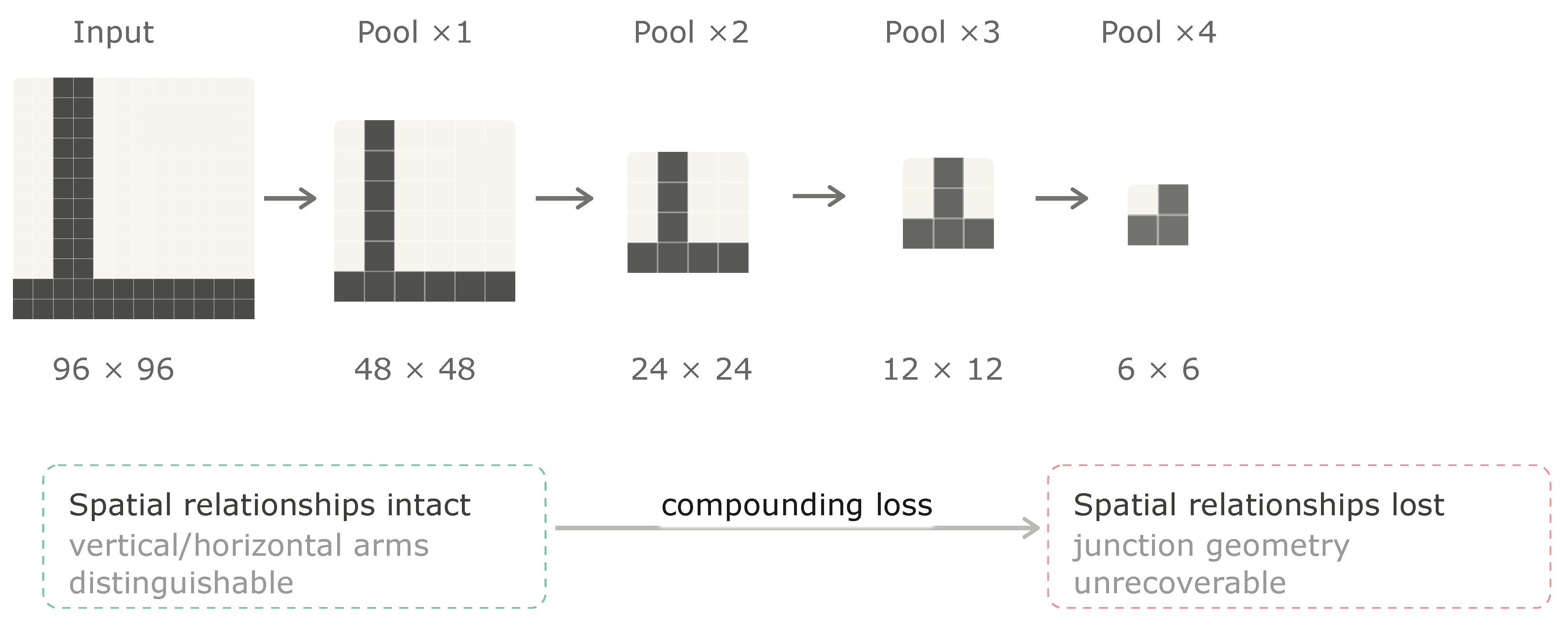 Compounding Loss Model Convolutional Neural Networks: Biological Foundations, Hidden ...